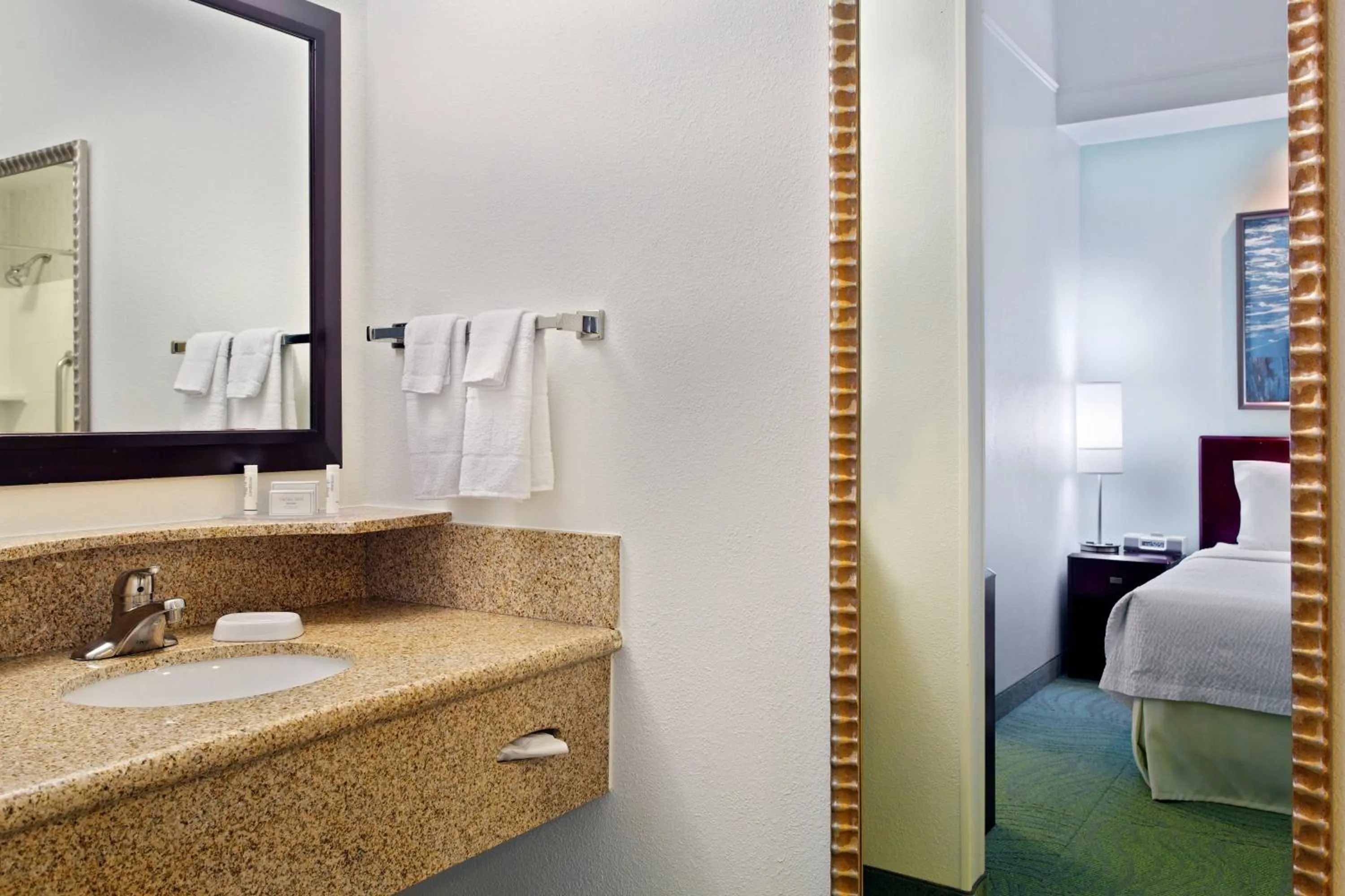 Bathroom, Bed in SpringHill Suites Knoxville At Turkey Creek