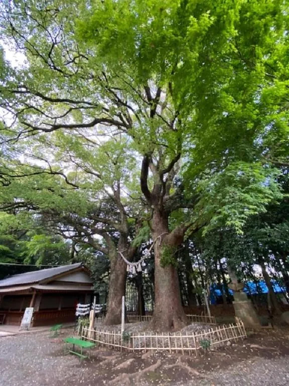 Nearby landmark in Hatago Hashimoto