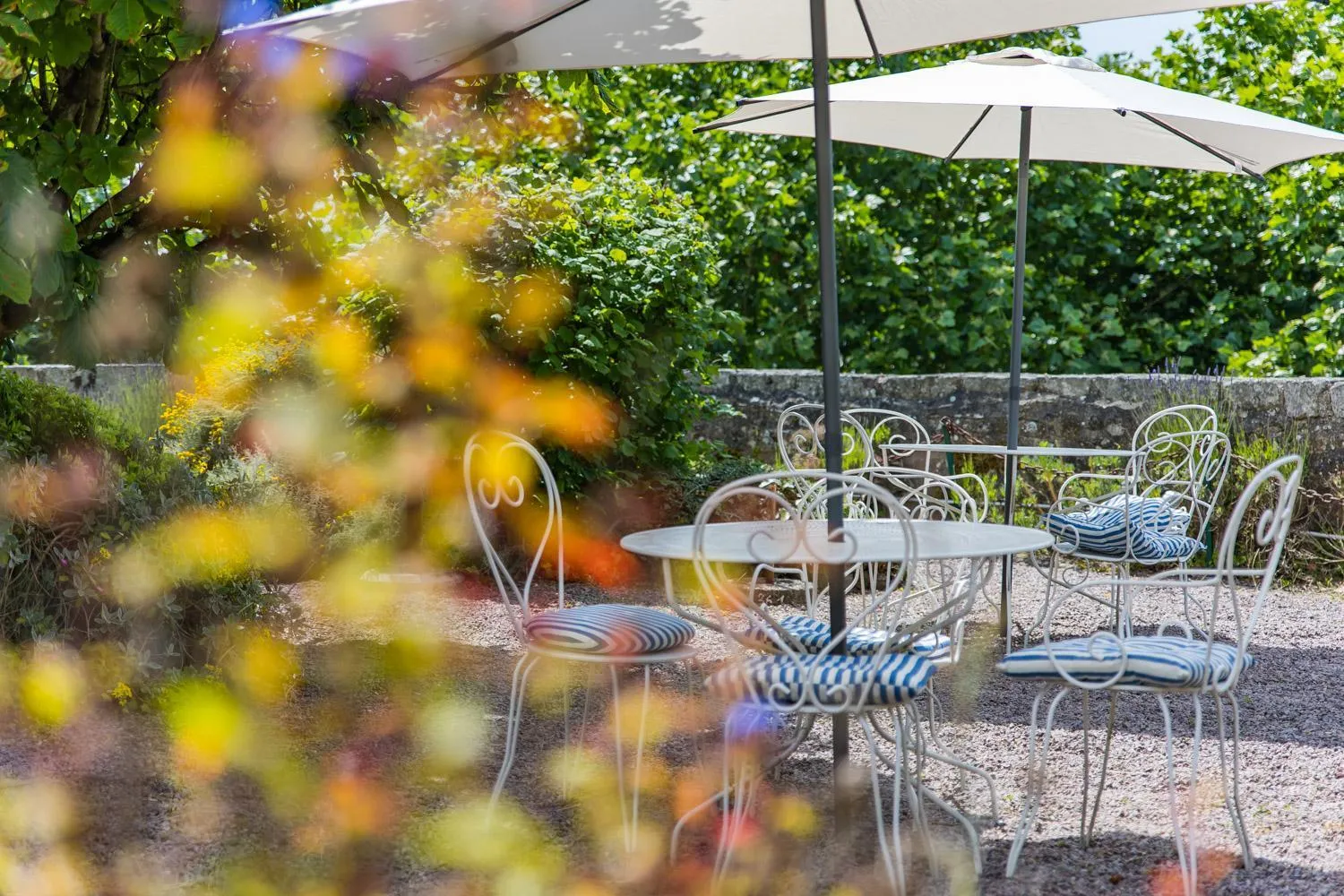 Garden in Hôtel Le D'Avaugour