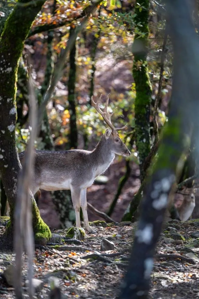 Bourazani Wild Life Resort