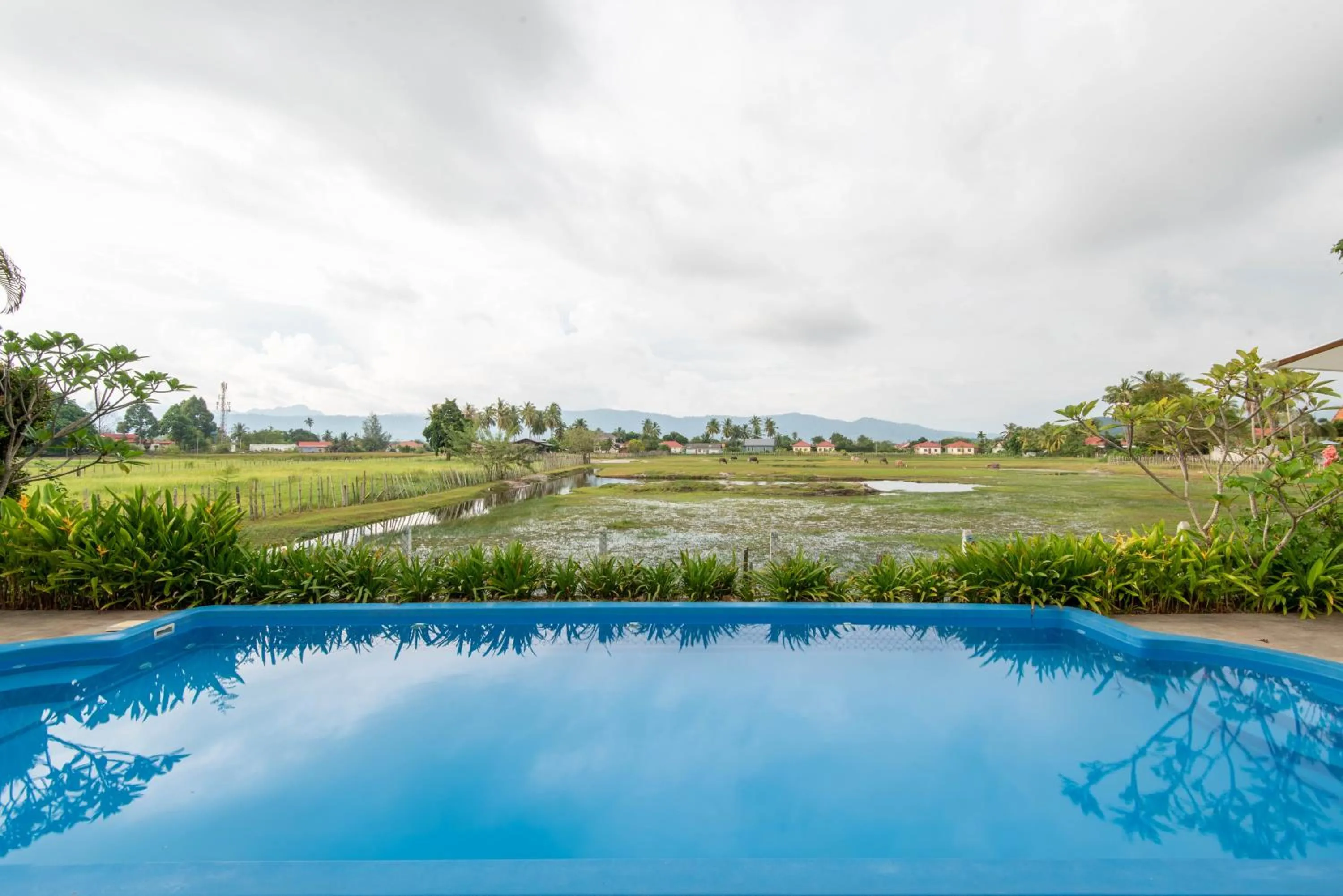 Day in Limasan Villa Langkawi