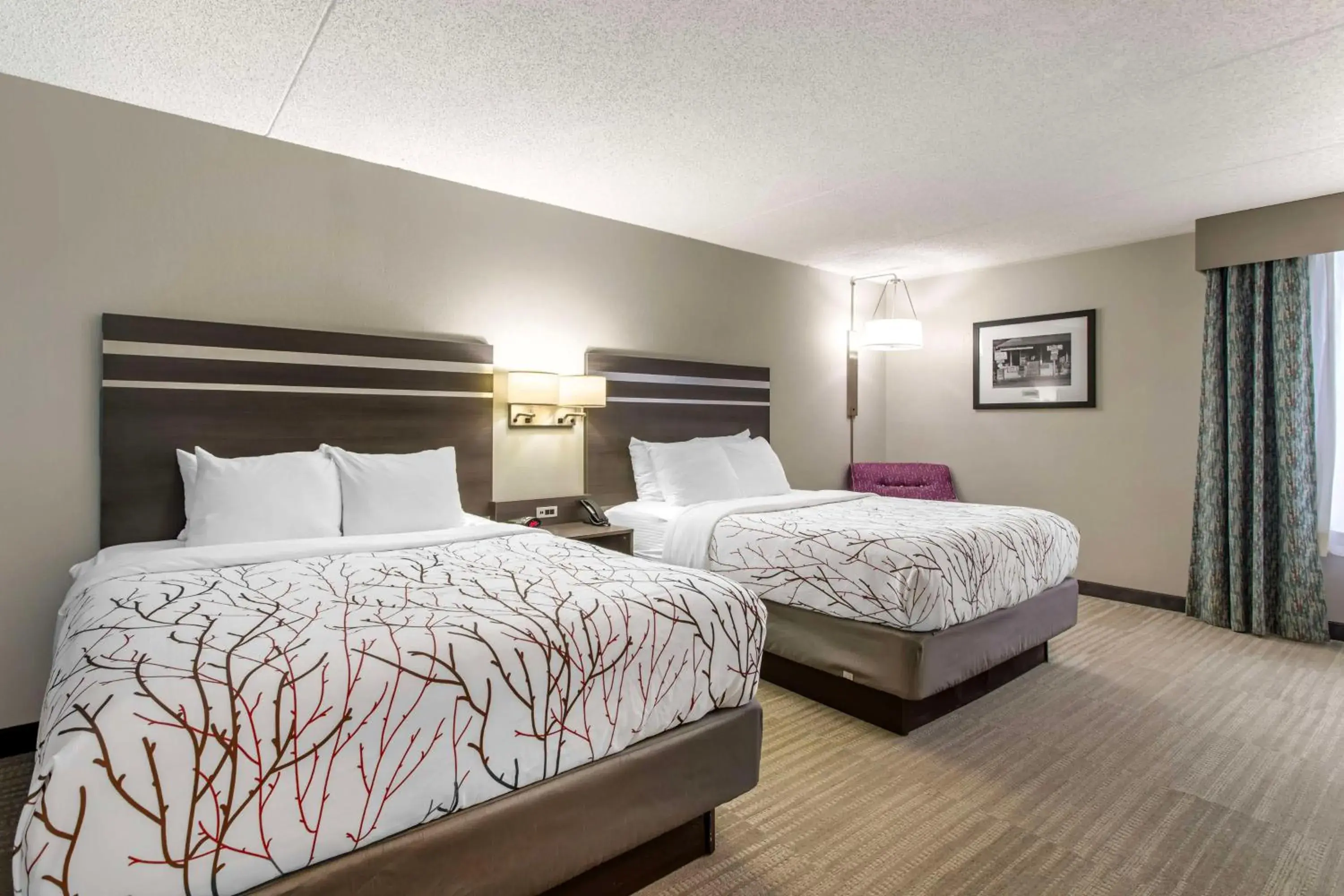 Large Queen Room with Two Queen Beds - Non-Smoking in Best Western Plus Knoxville Cedar Bluff Large Queen Room with Two Queen Beds - Non-Smoking in Best Western Plus Knoxville Cedar Bluff