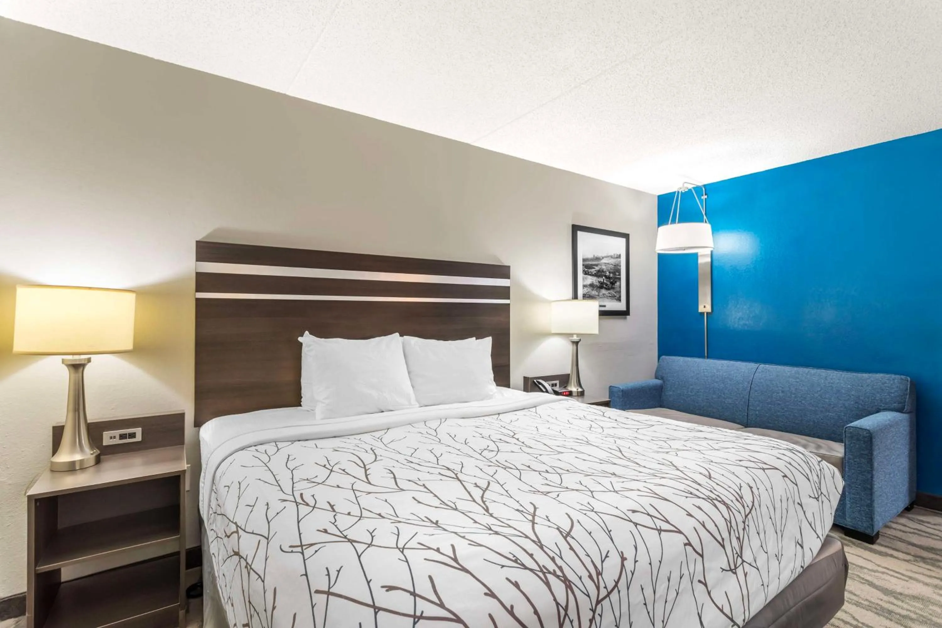 Bedroom, Bed in Best Western Plus Knoxville Cedar Bluff