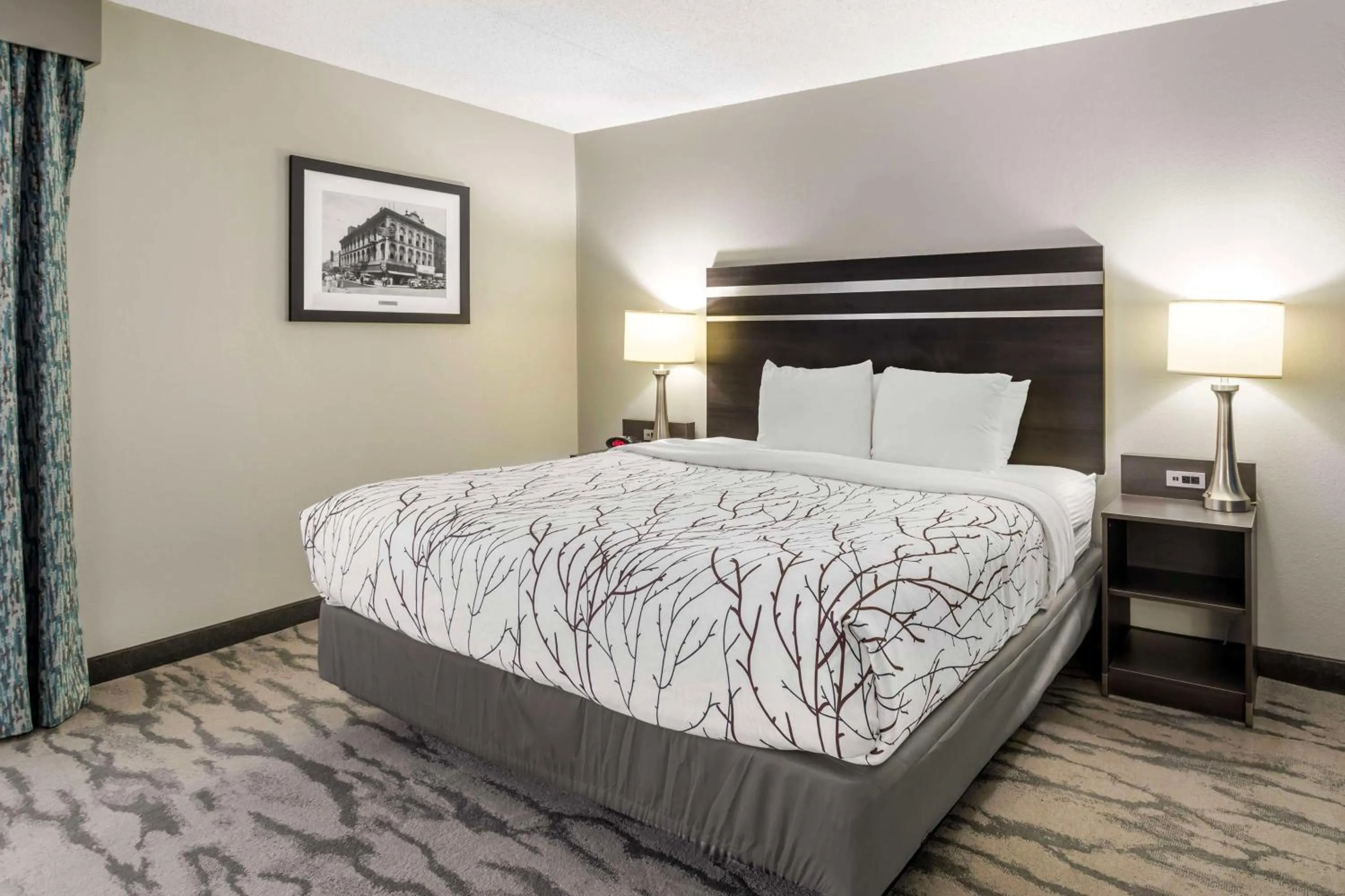 Photo of the whole room, Bed in Best Western Plus Knoxville Cedar Bluff