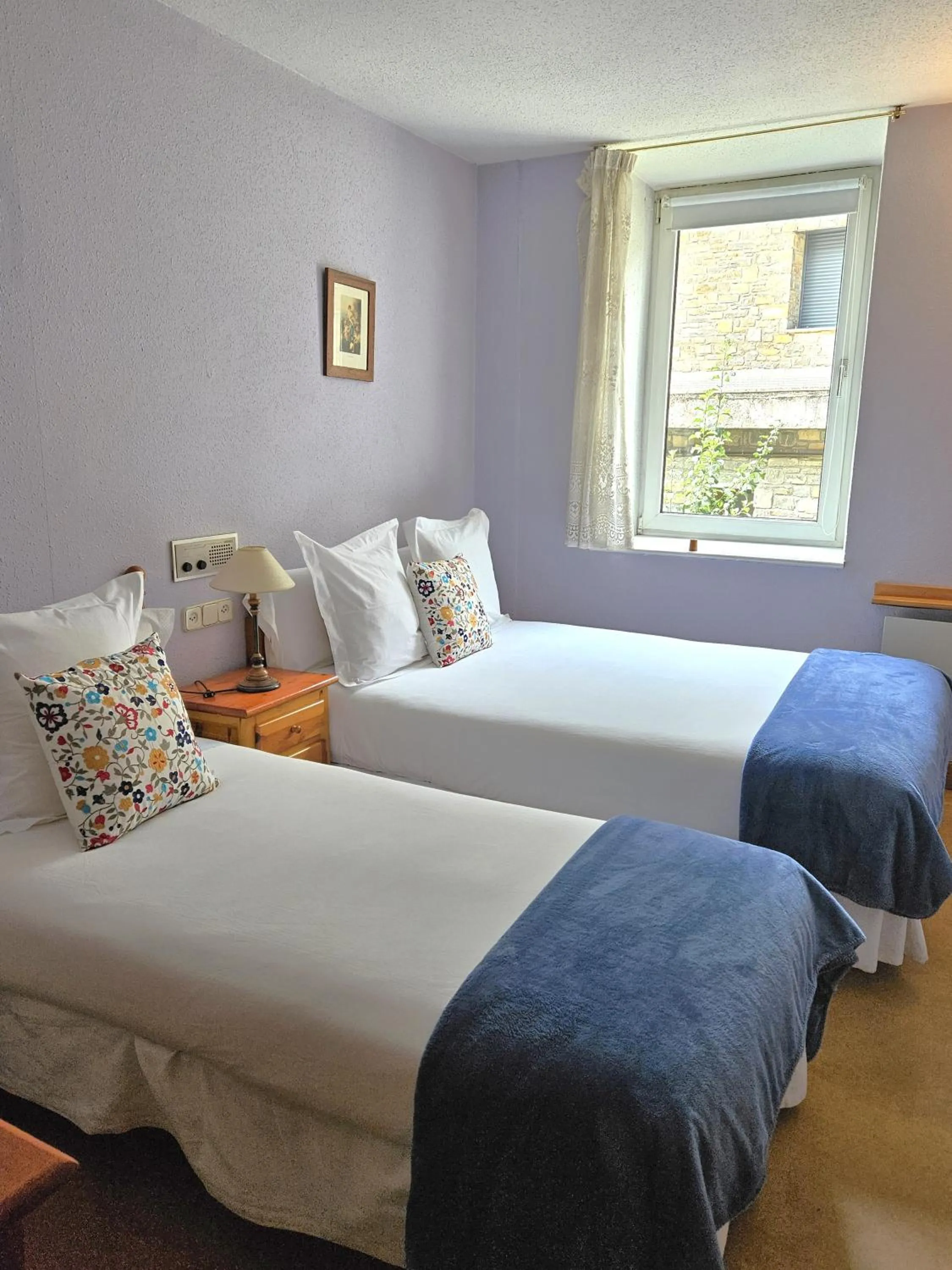 Double or Twin Room in Hotel Anglada