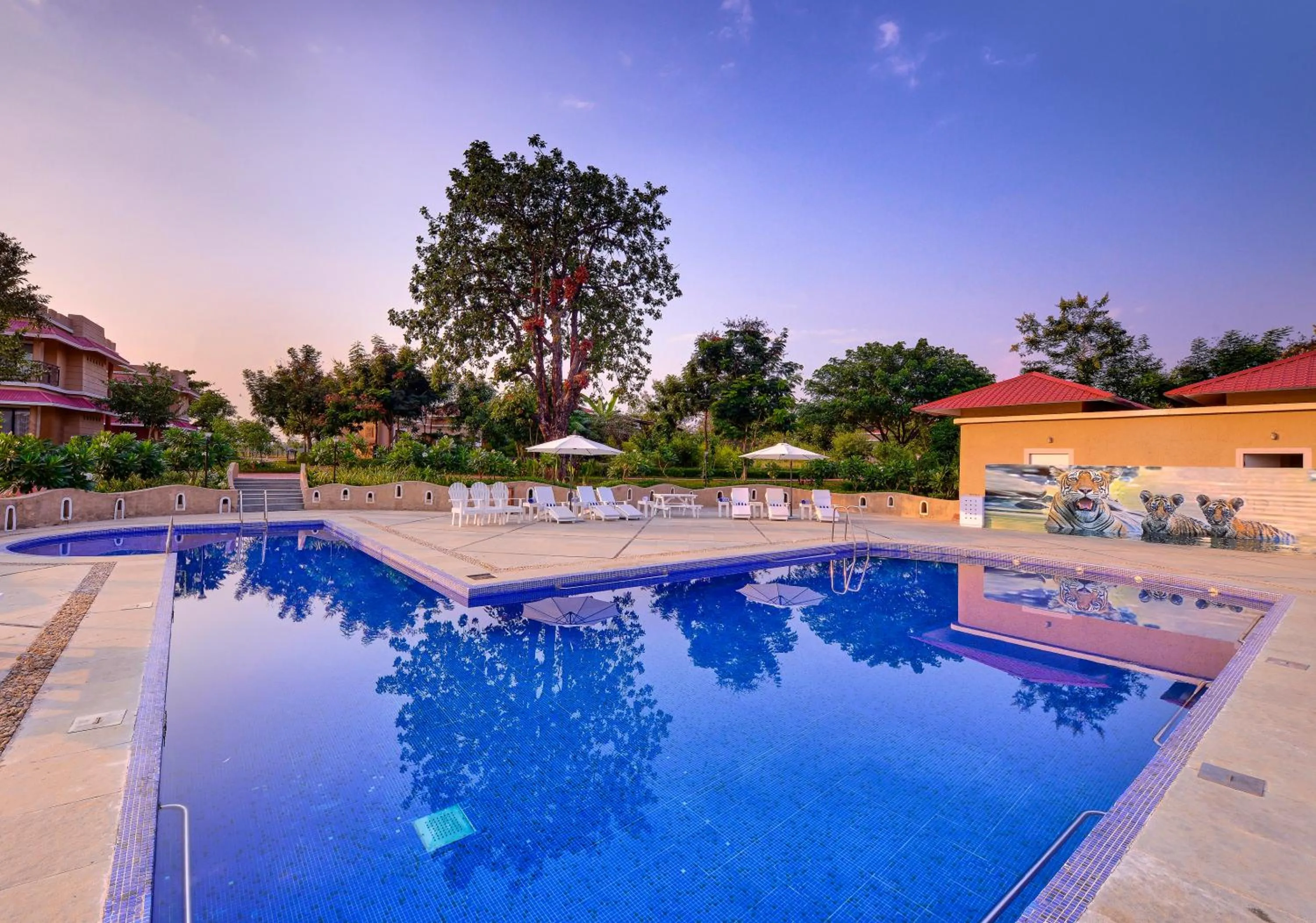 Swimming pool in Sterling Kanha