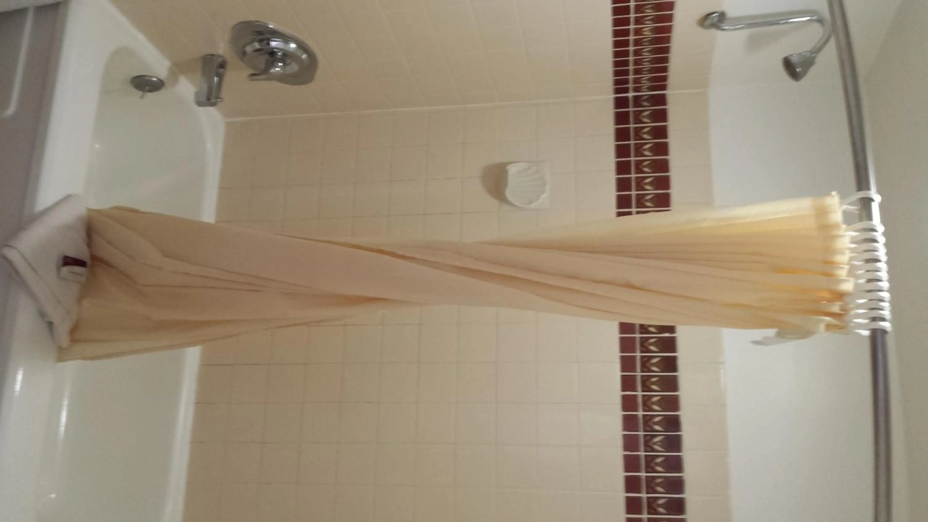 Shower in Executive Inn & Suites