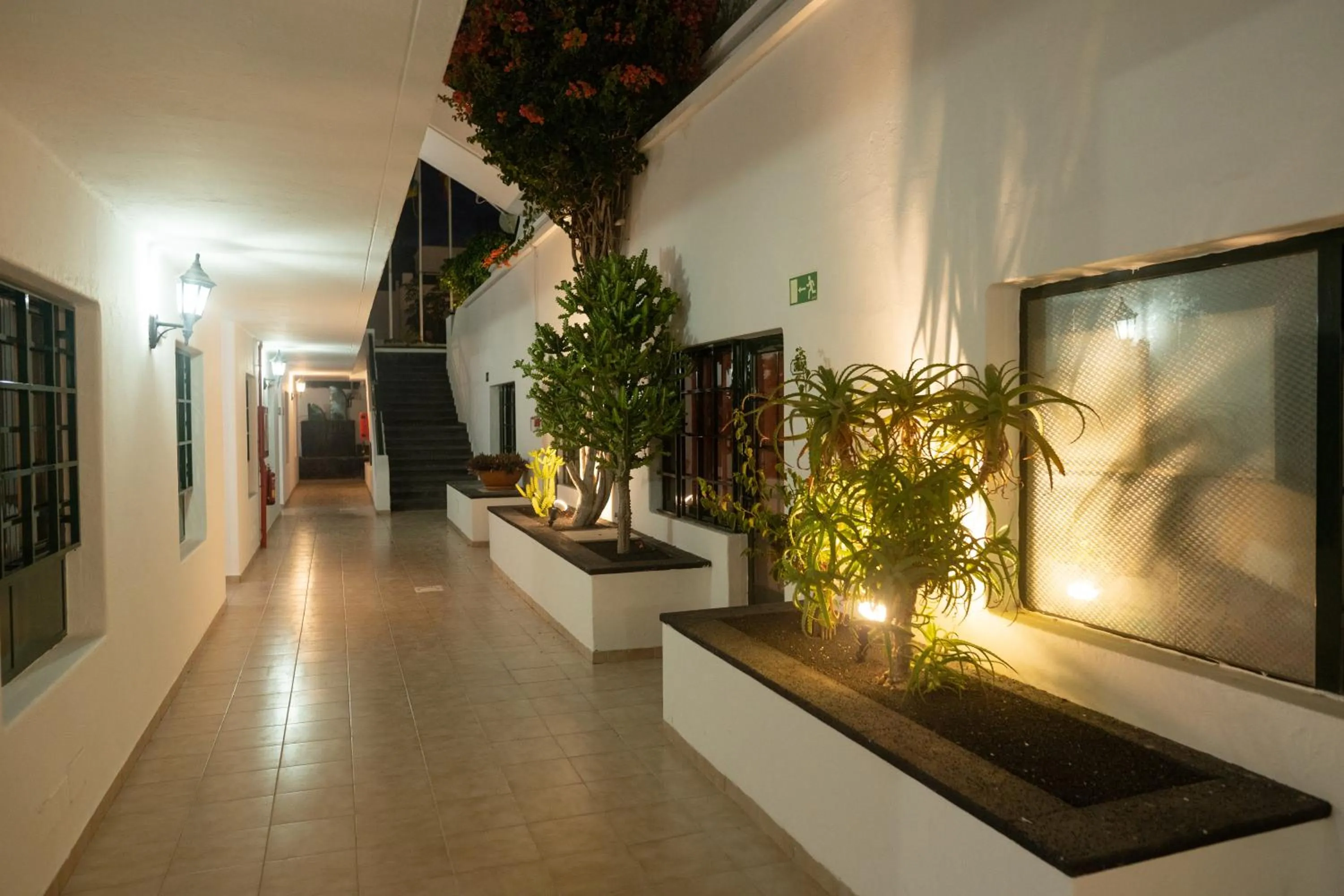 Area and facilities in Apartamentos Moraña