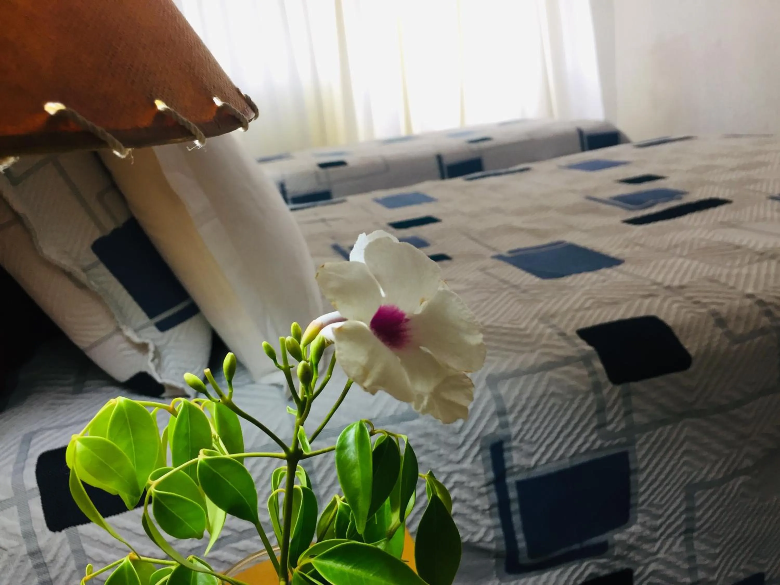 Photo of the whole room, Bed in San Remo Terrazas Hotel