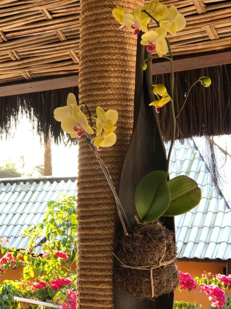 Hotel Morro De São Paulo