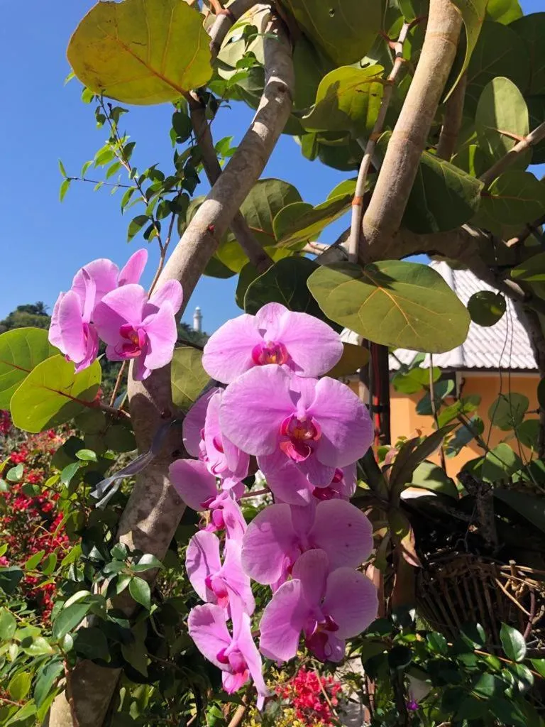 Hotel Morro De São Paulo