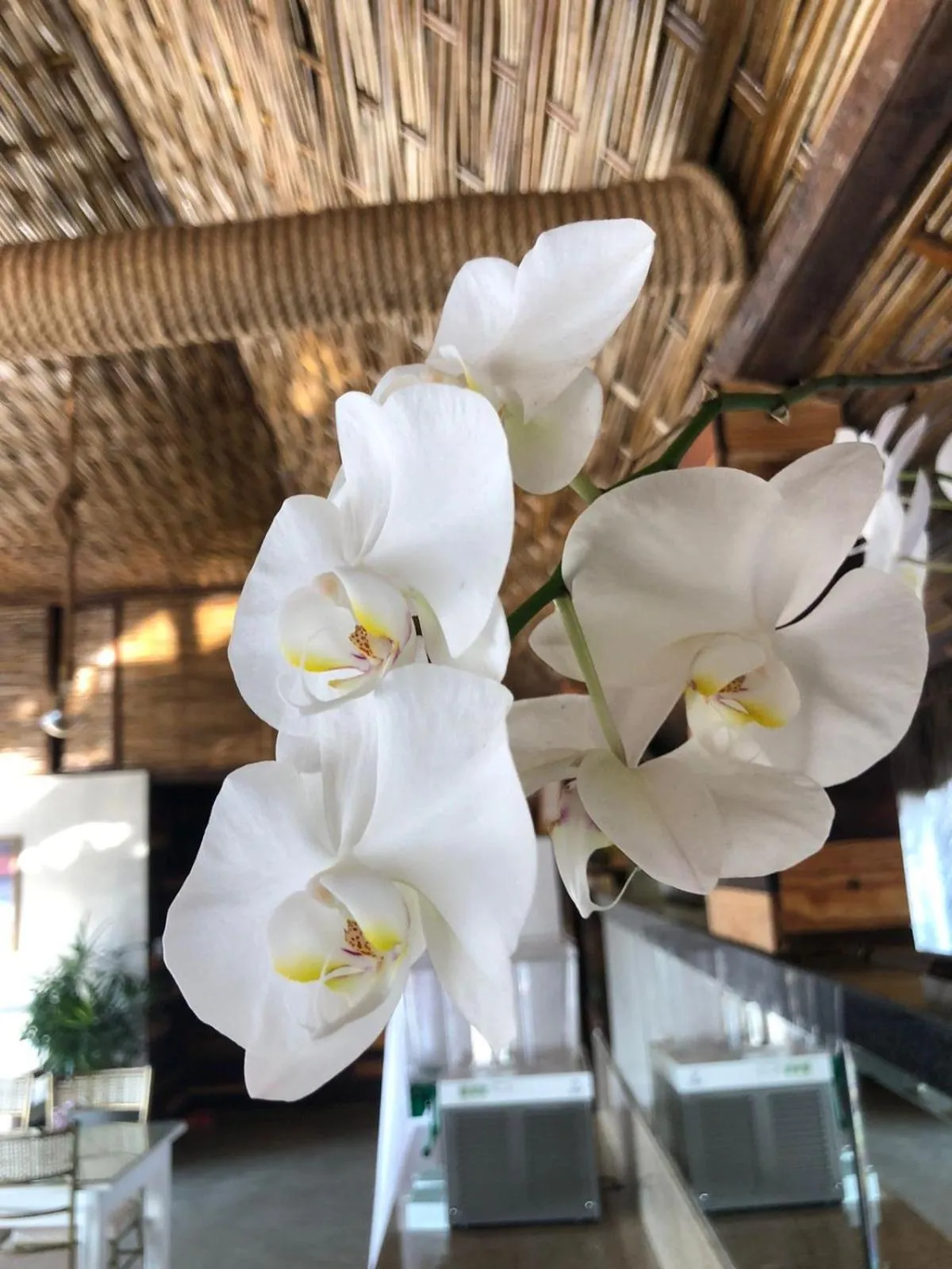 Hotel Morro De São Paulo