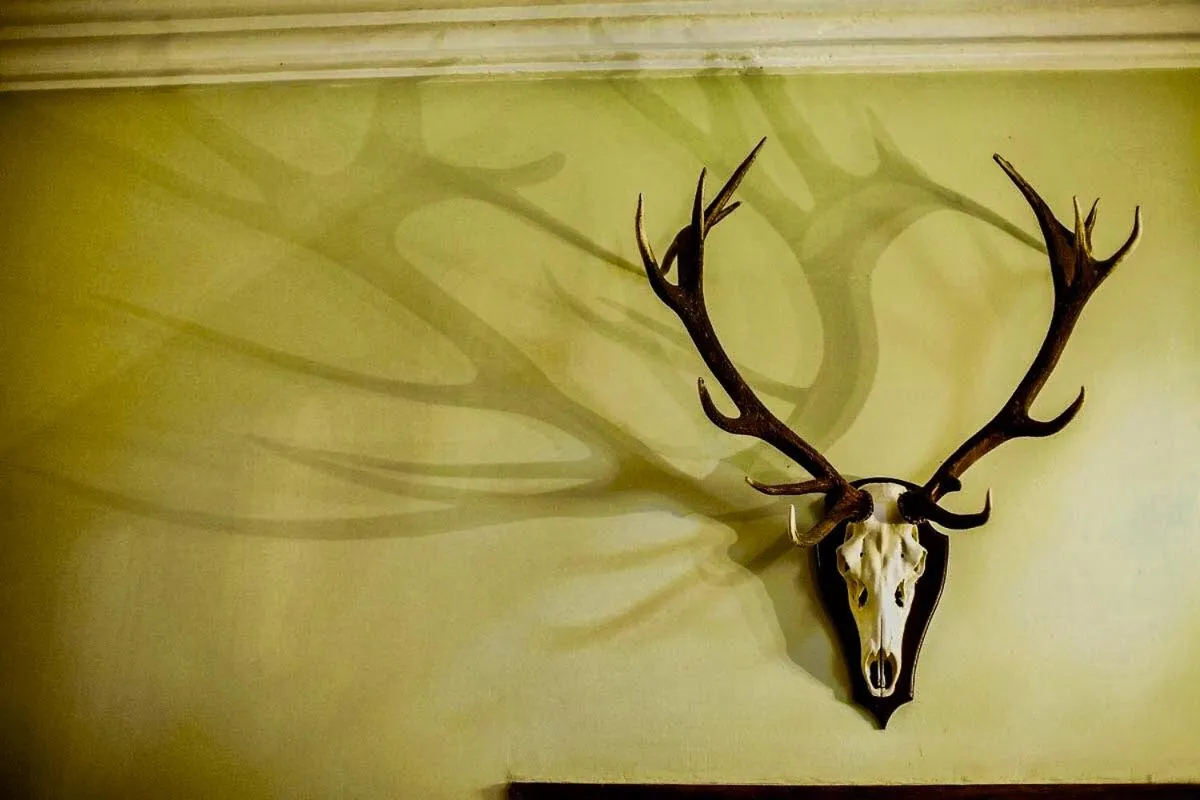 Decorative detail in Jagdschloss Kotelow