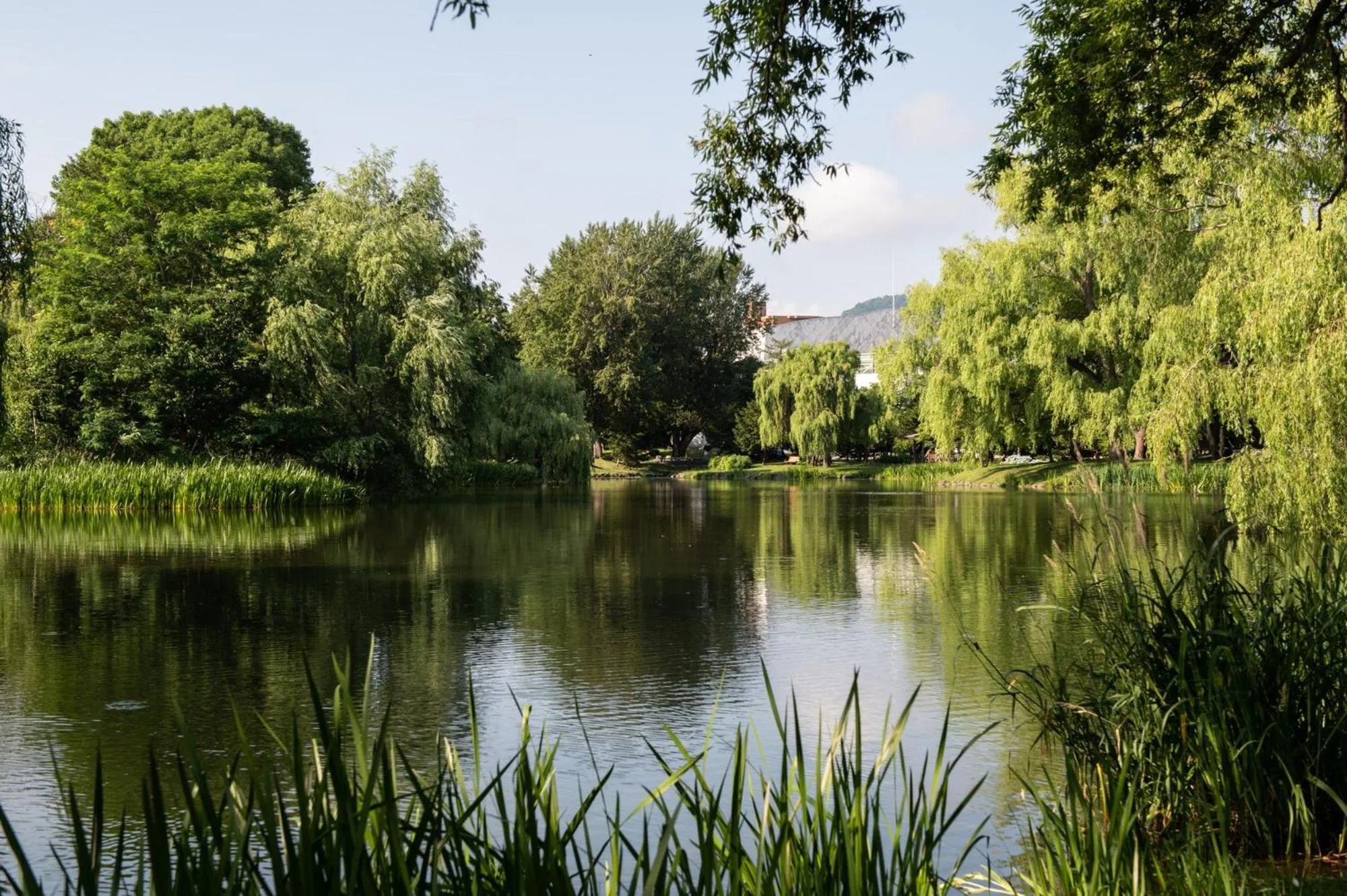 Nearby landmark in Hotel Vista Sapporo Nakajima Koen