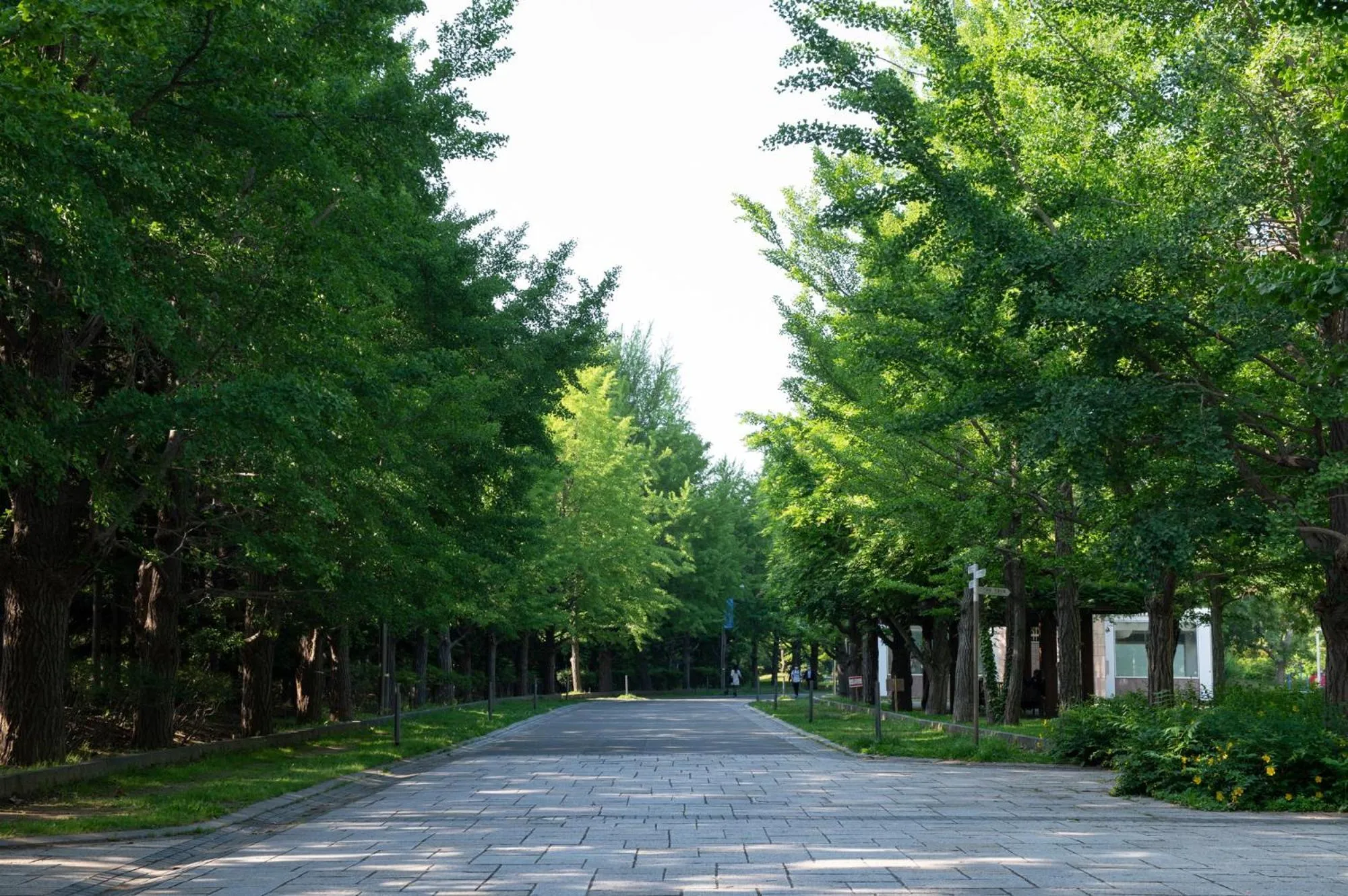 Nearby landmark in Hotel Vista Sapporo Nakajima Koen