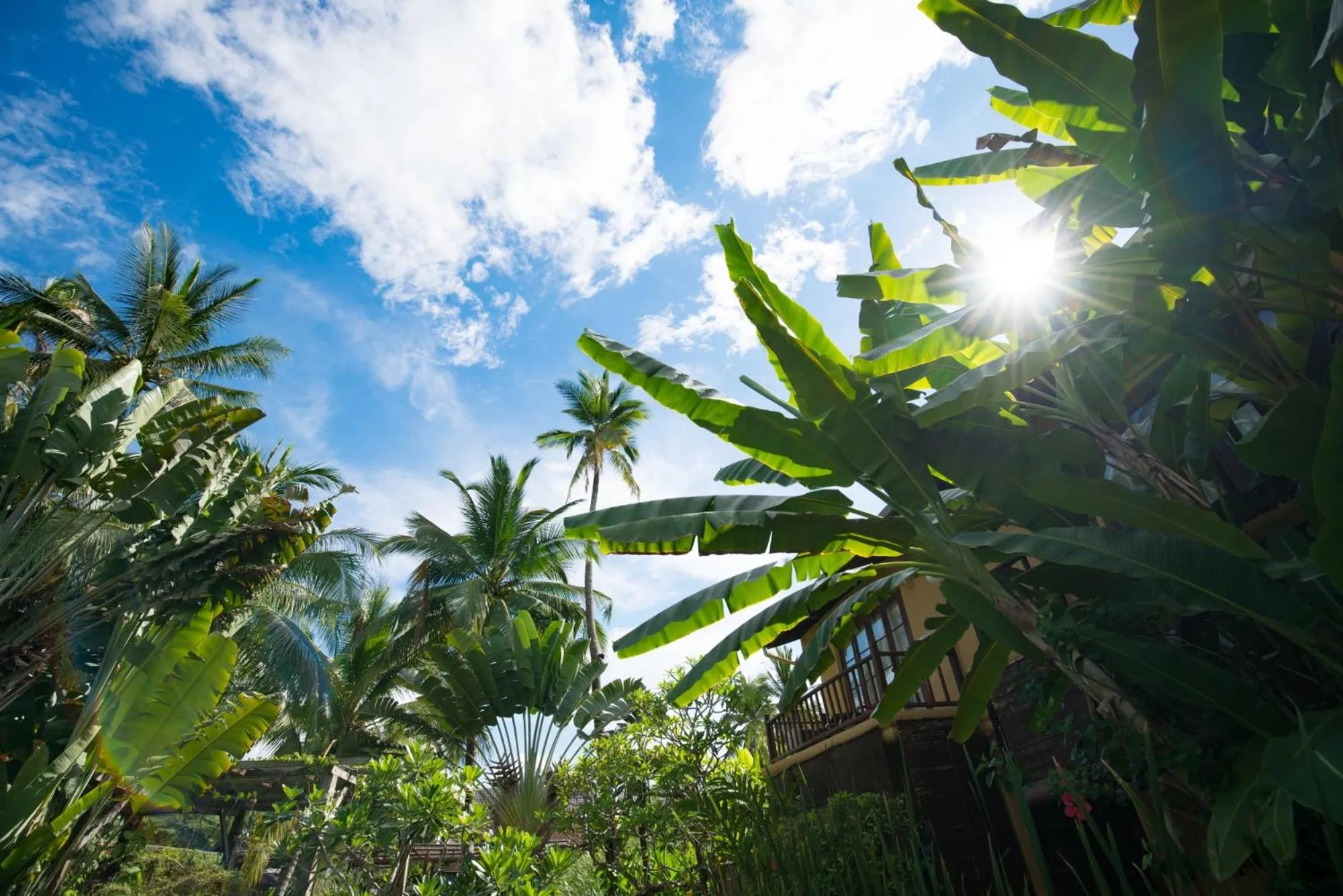 Garden in Maison Dalabua