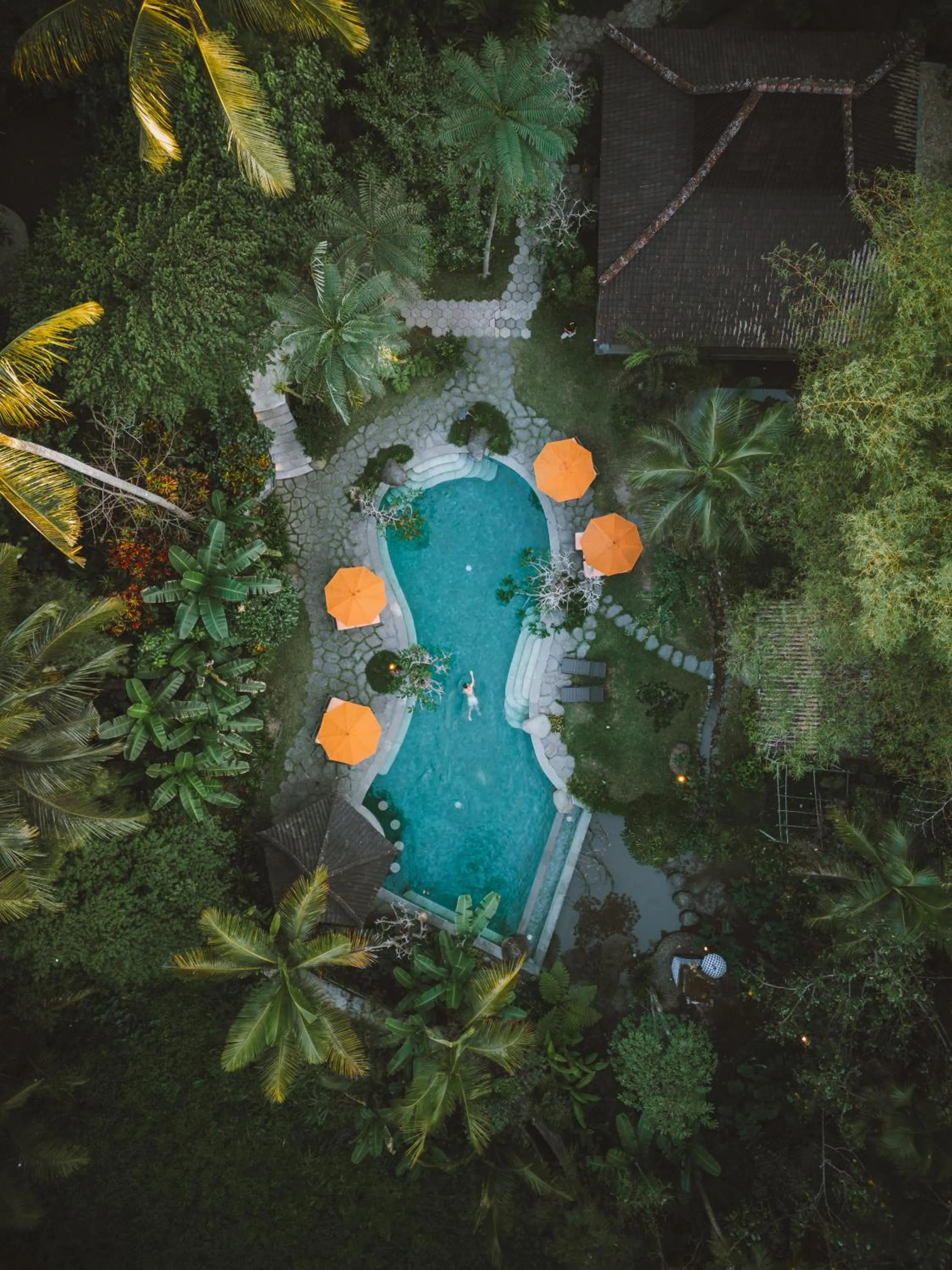 Swimming pool in Korurua Dijiwa Ubud