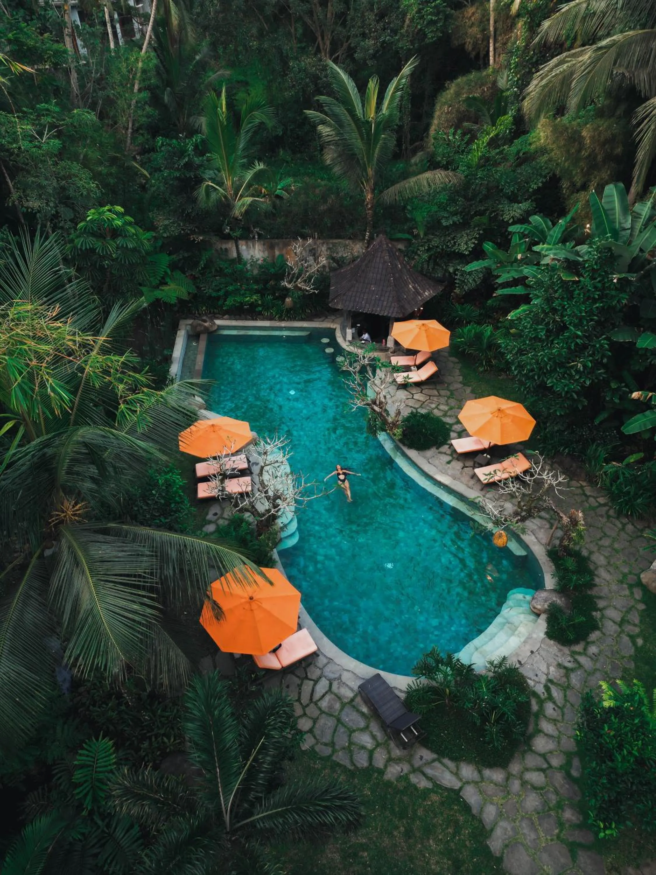 Swimming pool in Korurua Dijiwa Ubud
