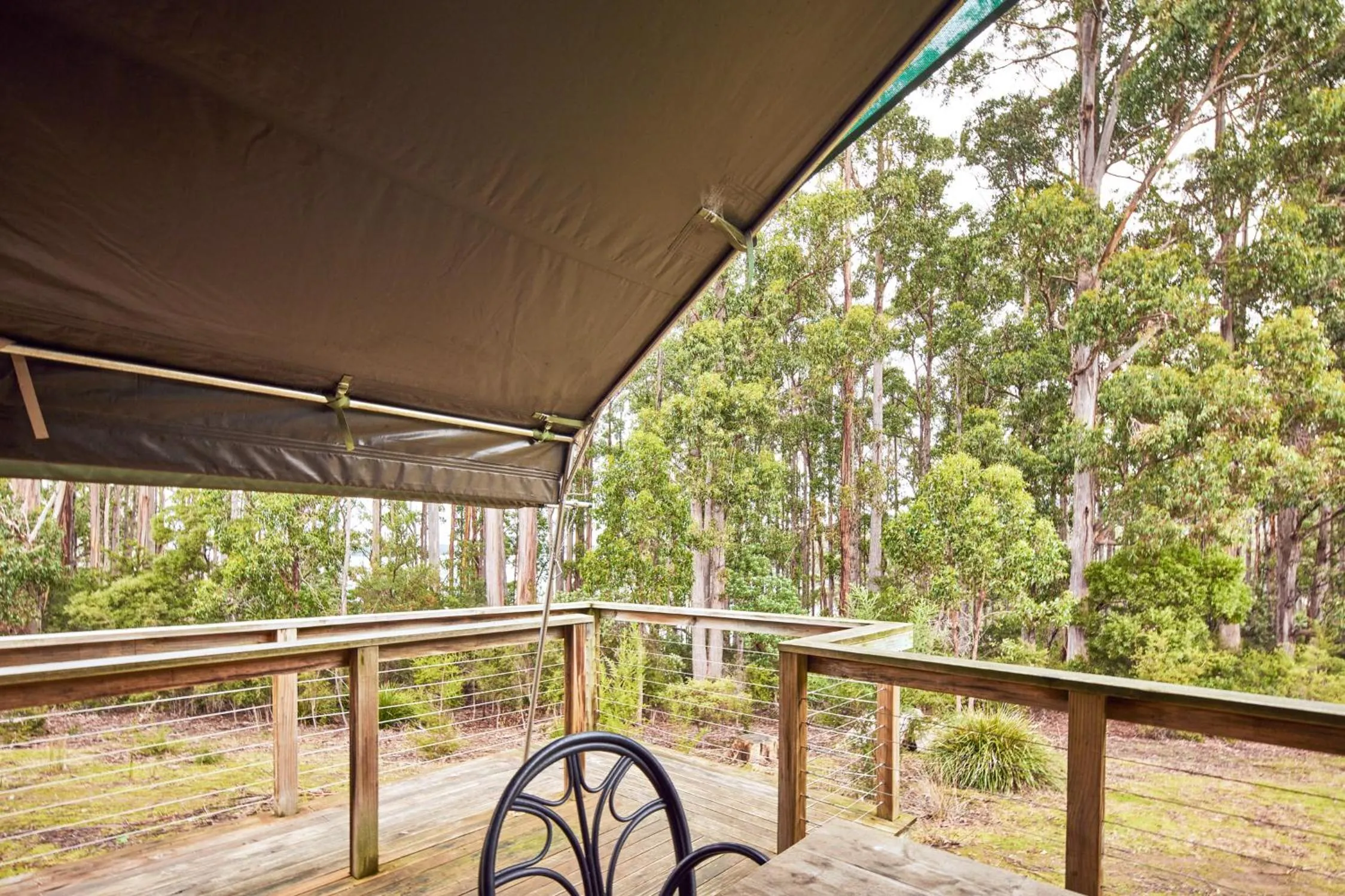 Natural landscape in NRMA Port Arthur Holiday Park