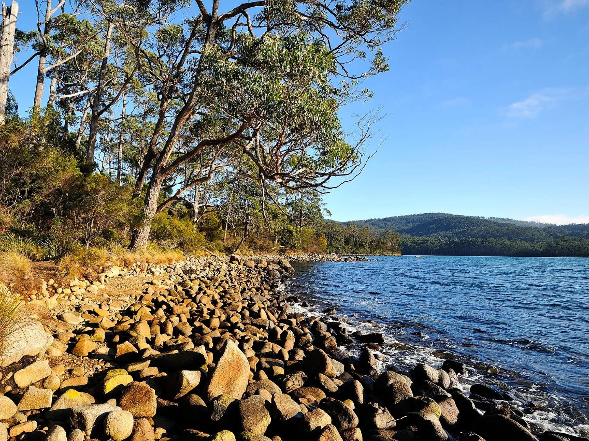 Natural landscape in NRMA Port Arthur Holiday Park