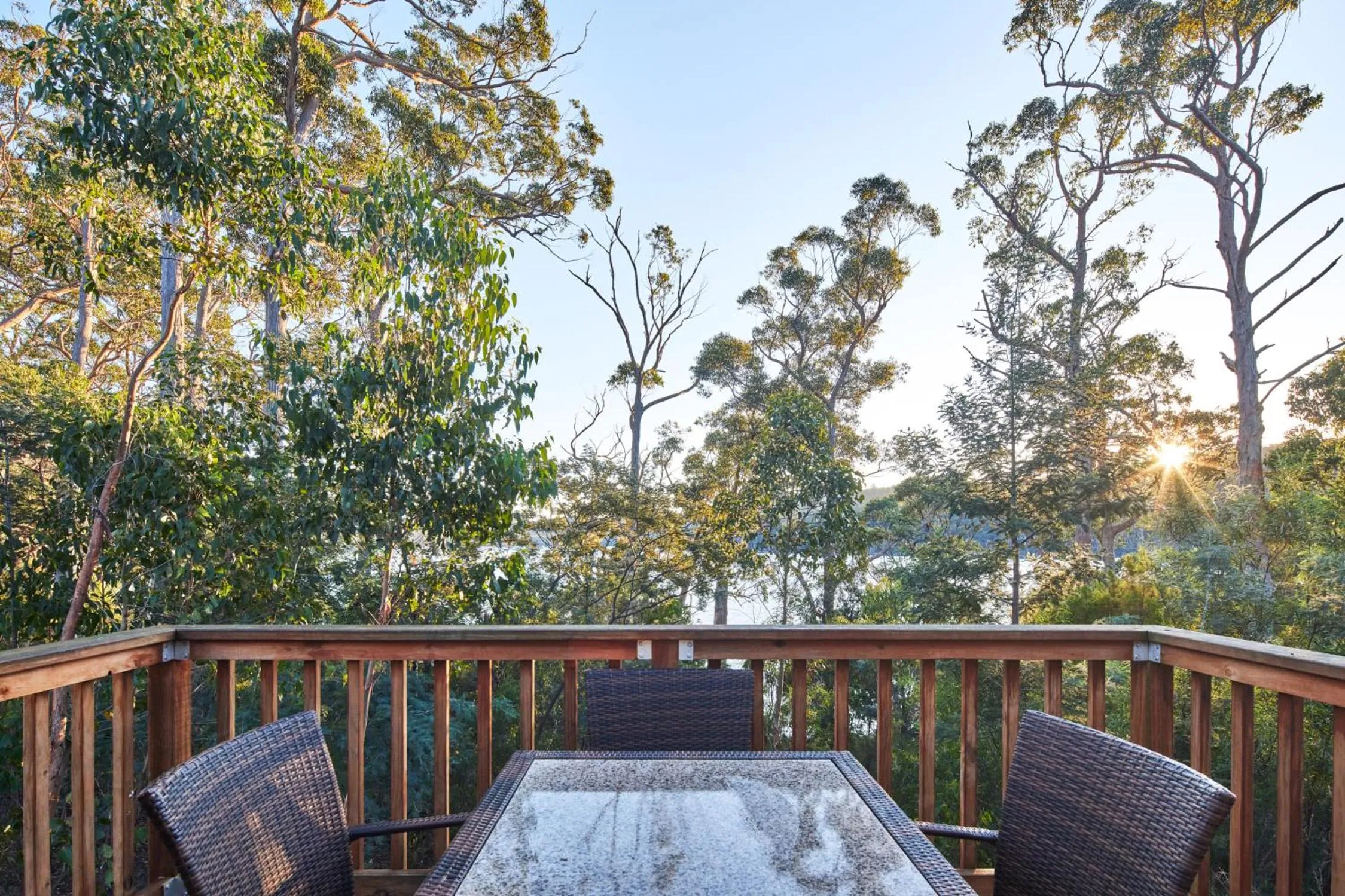 Natural landscape in NRMA Port Arthur Holiday Park