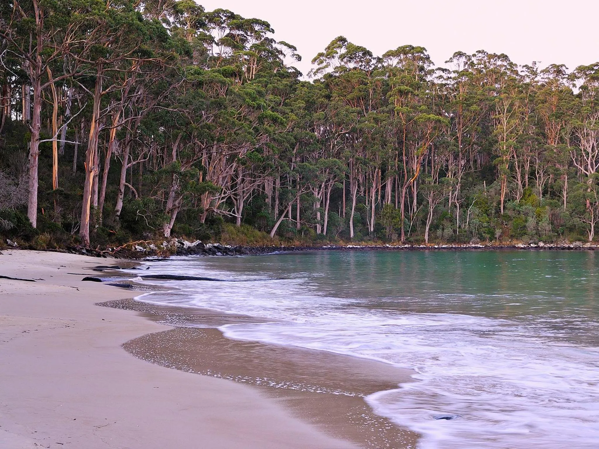 Natural landscape in NRMA Port Arthur Holiday Park