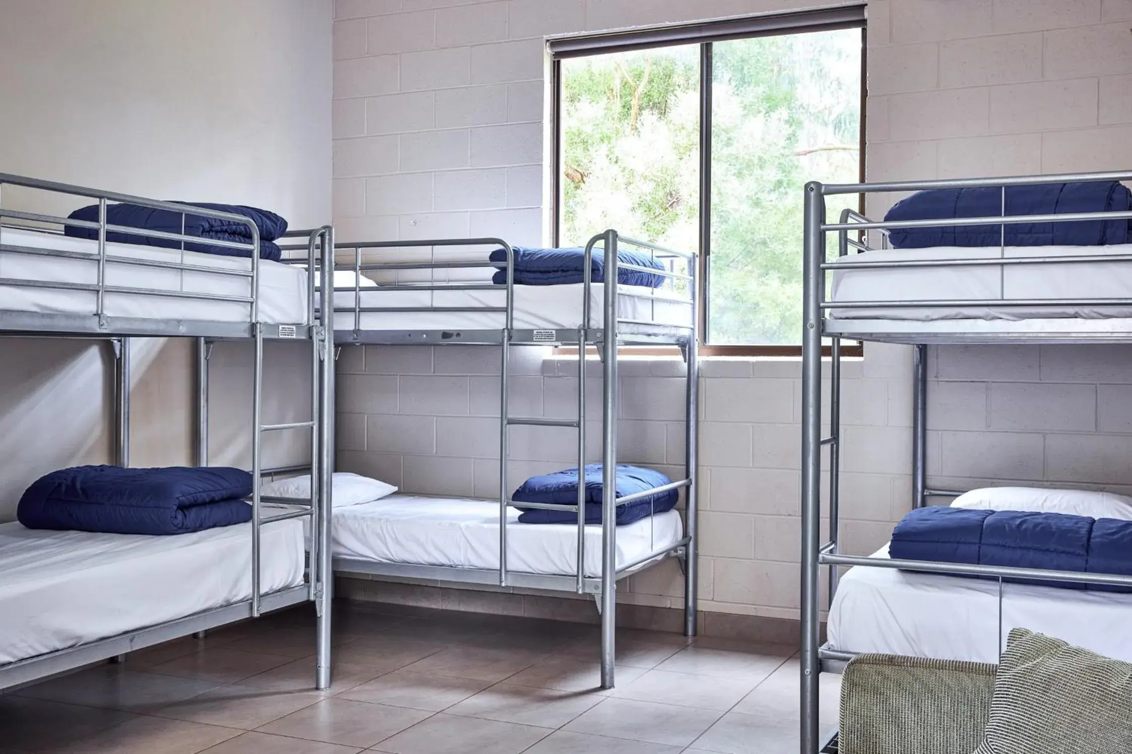 Bunk Bed in Male Dormitory Room in NRMA Port Arthur Holiday Park Bunk Bed in Male Dormitory Room in NRMA Port Arthur Holiday Park