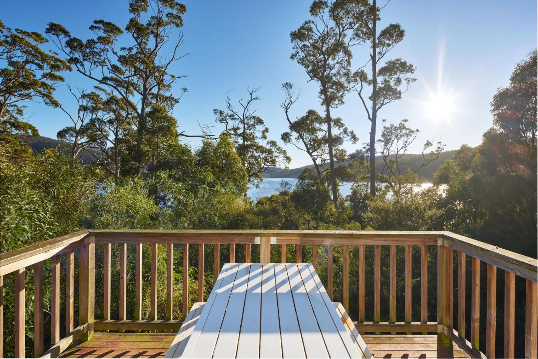 Natural landscape in NRMA Port Arthur Holiday Park