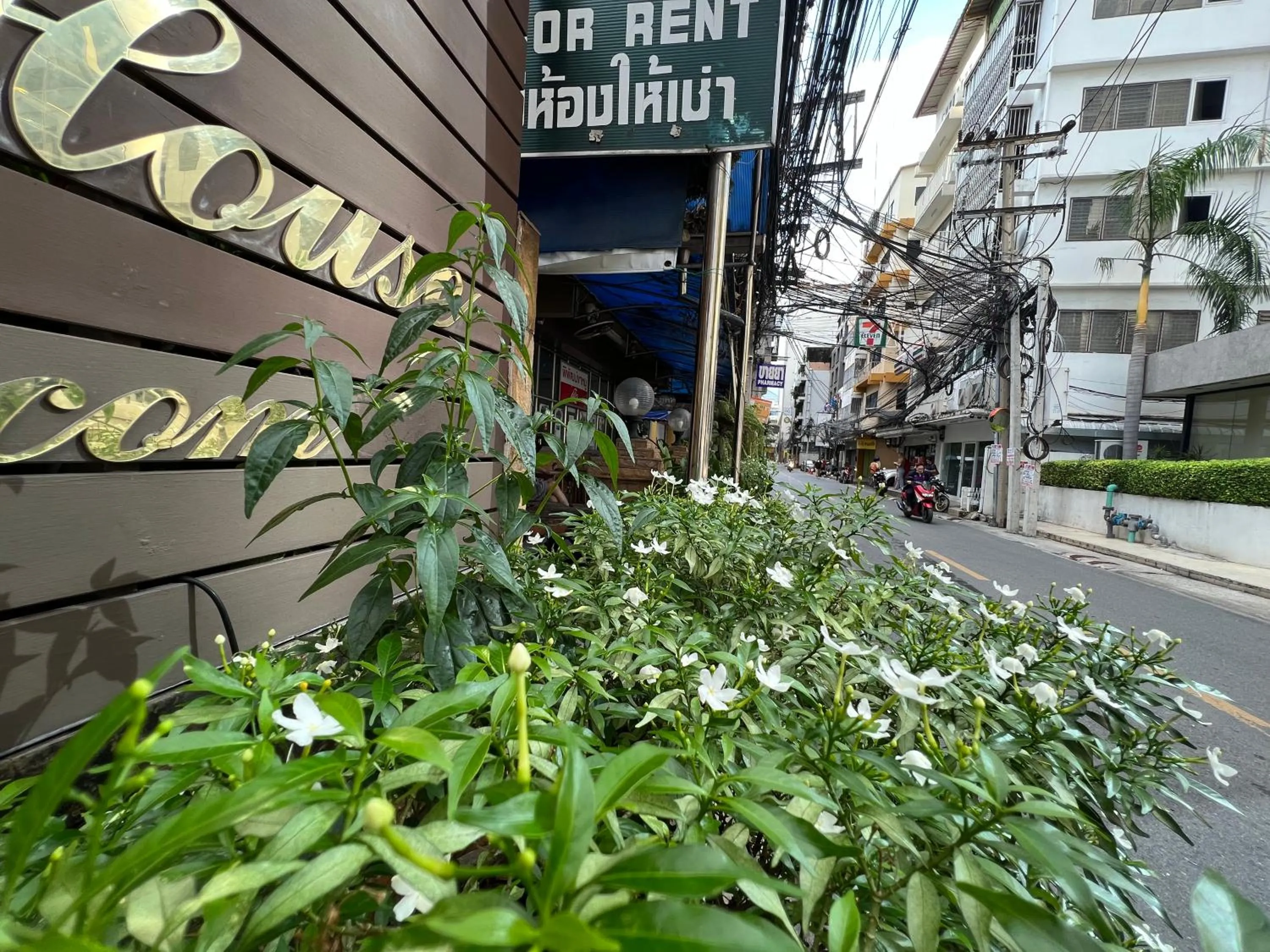 Thaiphiphat house