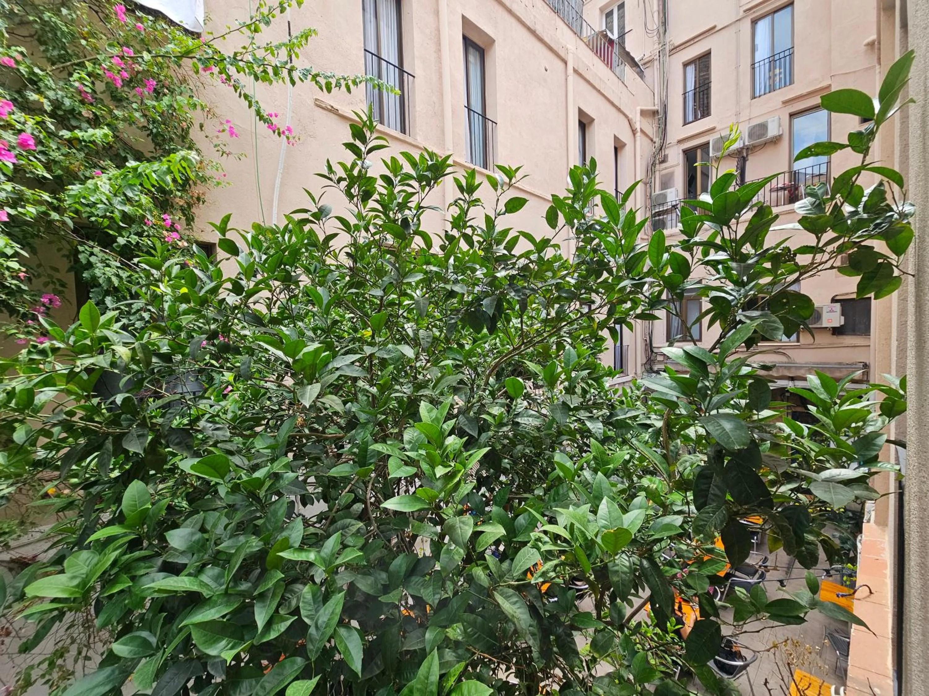 View (from property/room) in Hotel Palermo