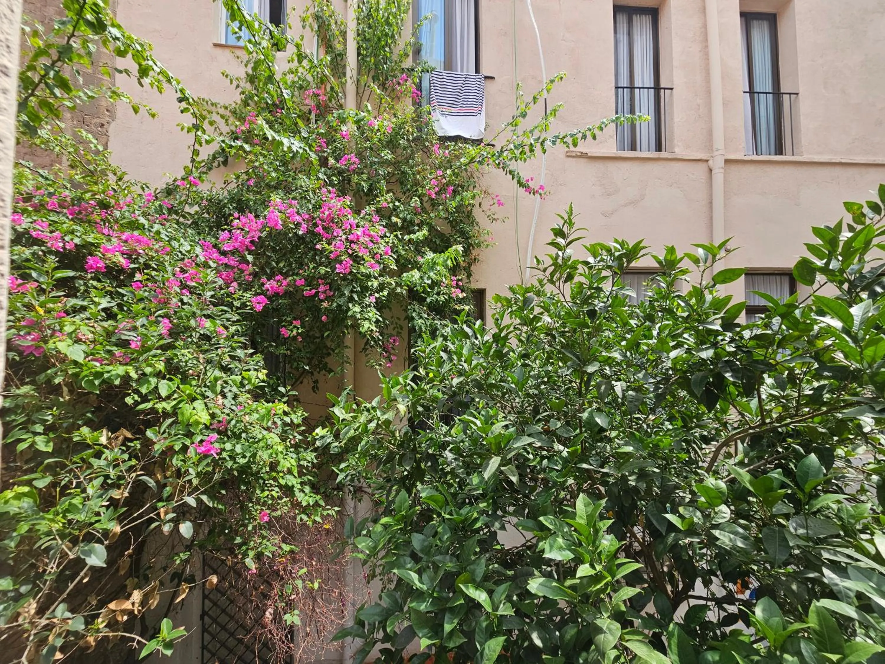 View (from property/room) in Hotel Palermo