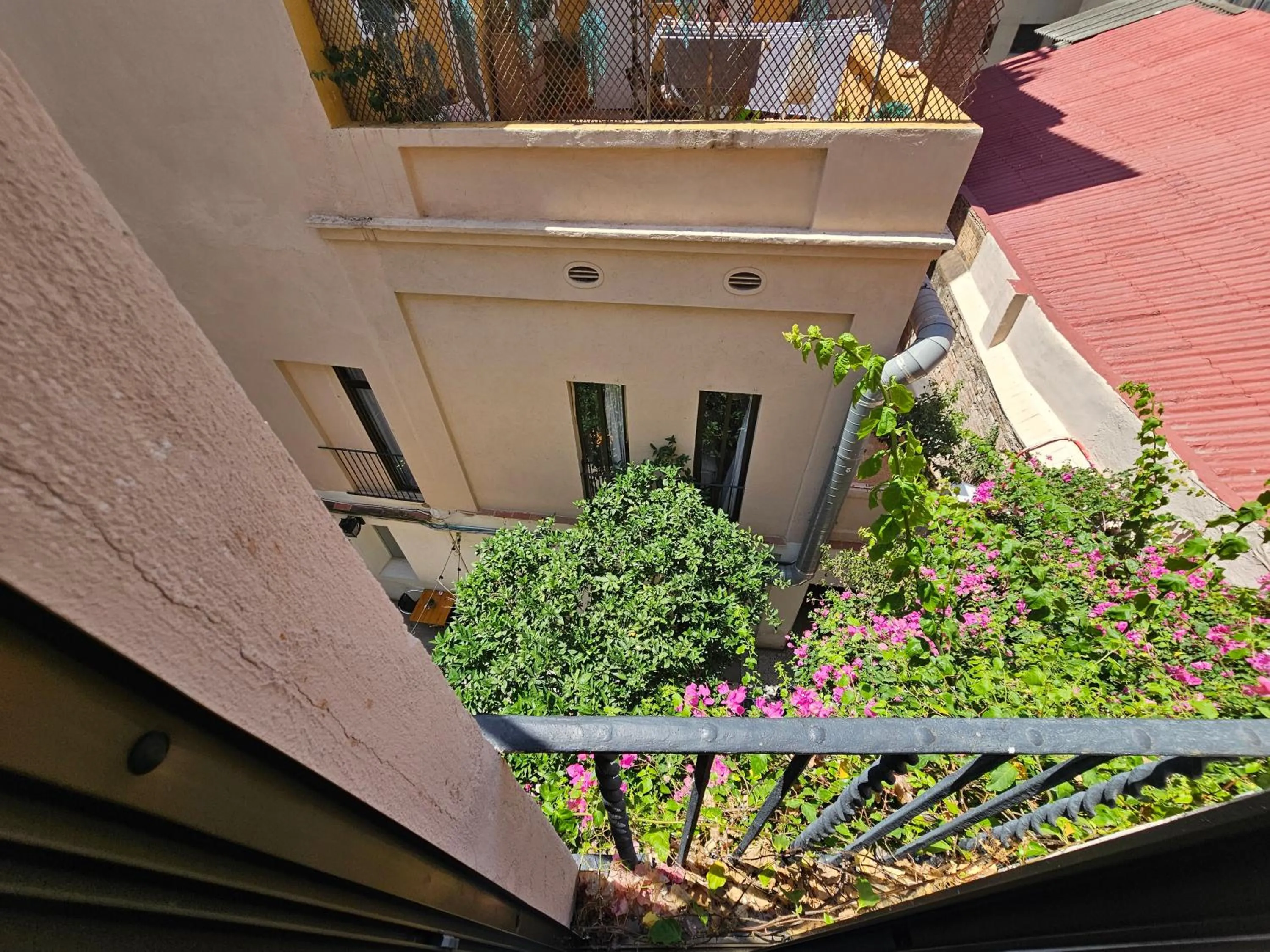 View (from property/room) in Hotel Palermo