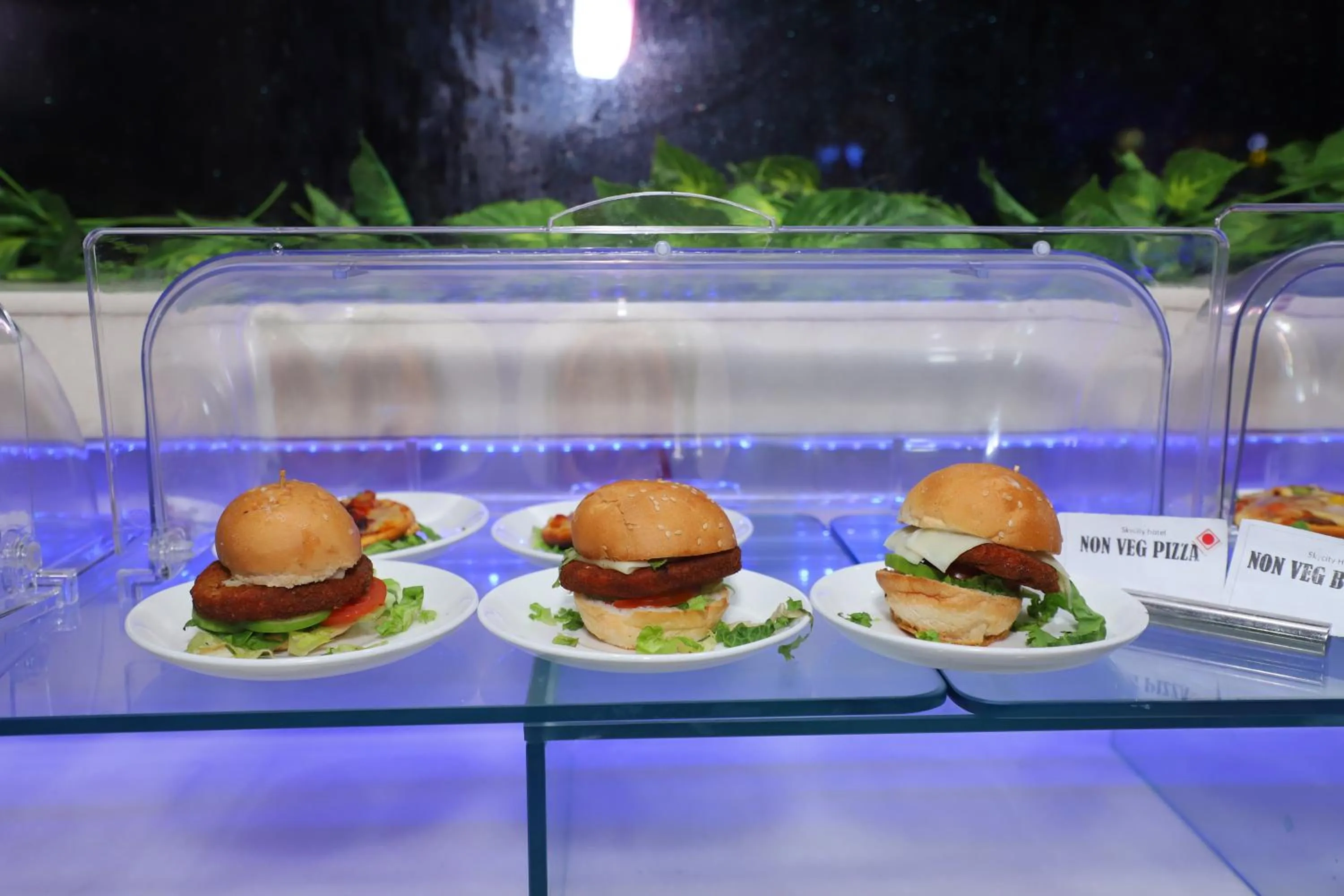 Dinner in SkyCity Hotel Gurgaon