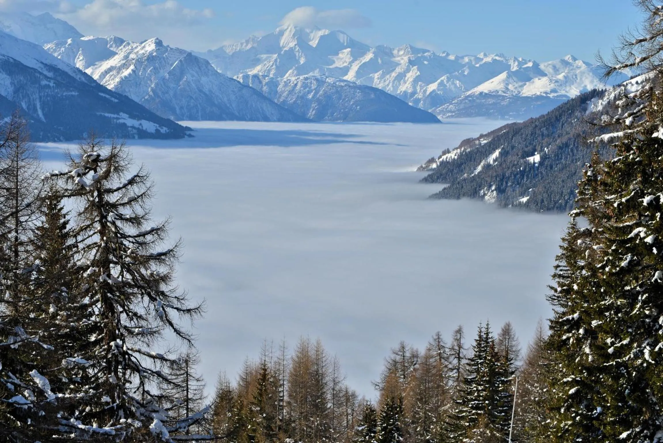 Area and facilities in Hotel Bellwald