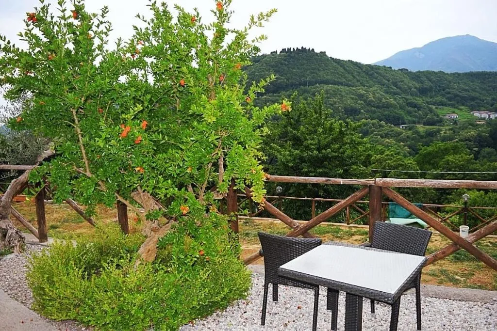 Garden in B&B Fior Tramonti