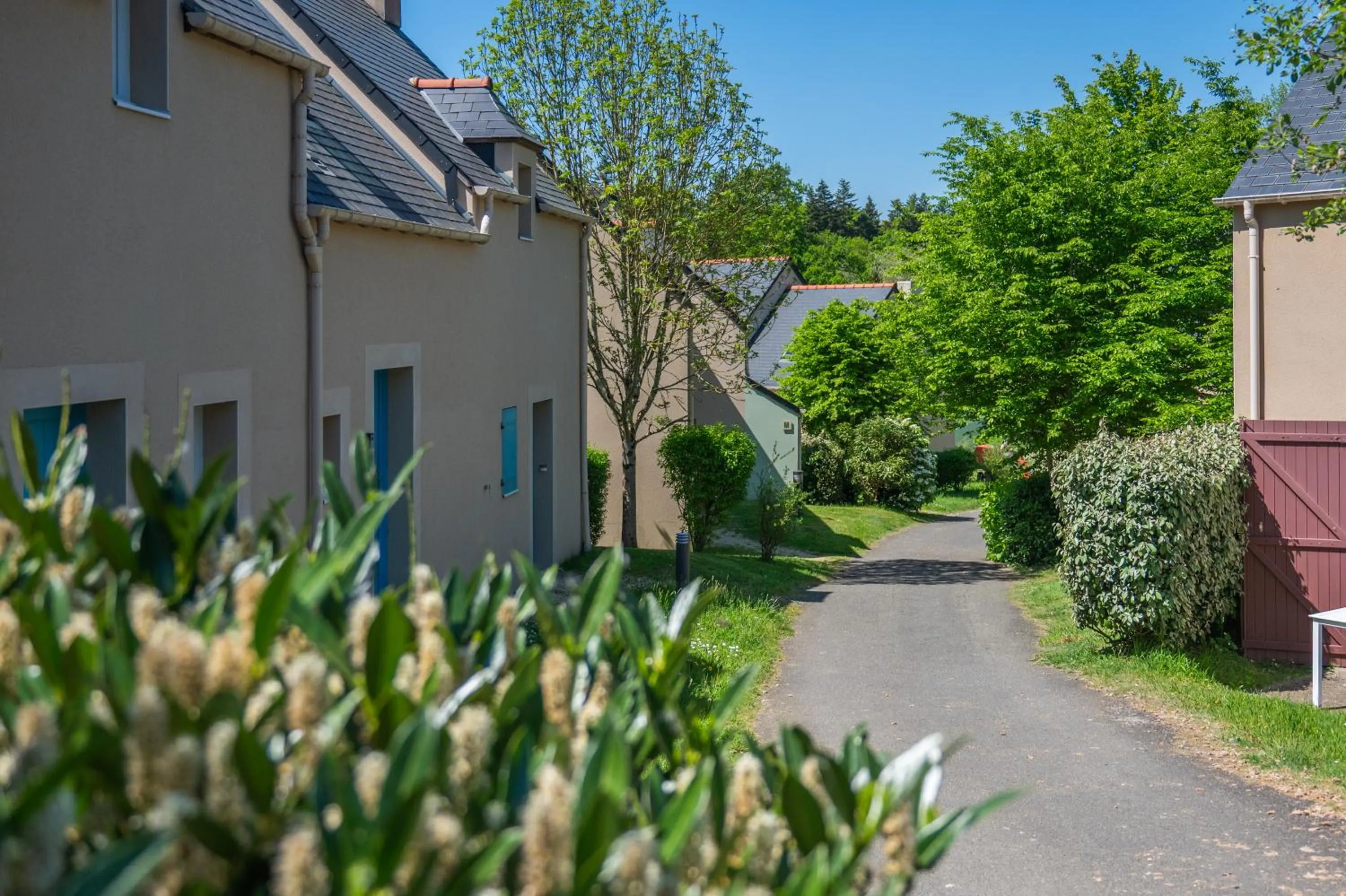 Résidence Odalys Domaine de la Baie de Saint Malo