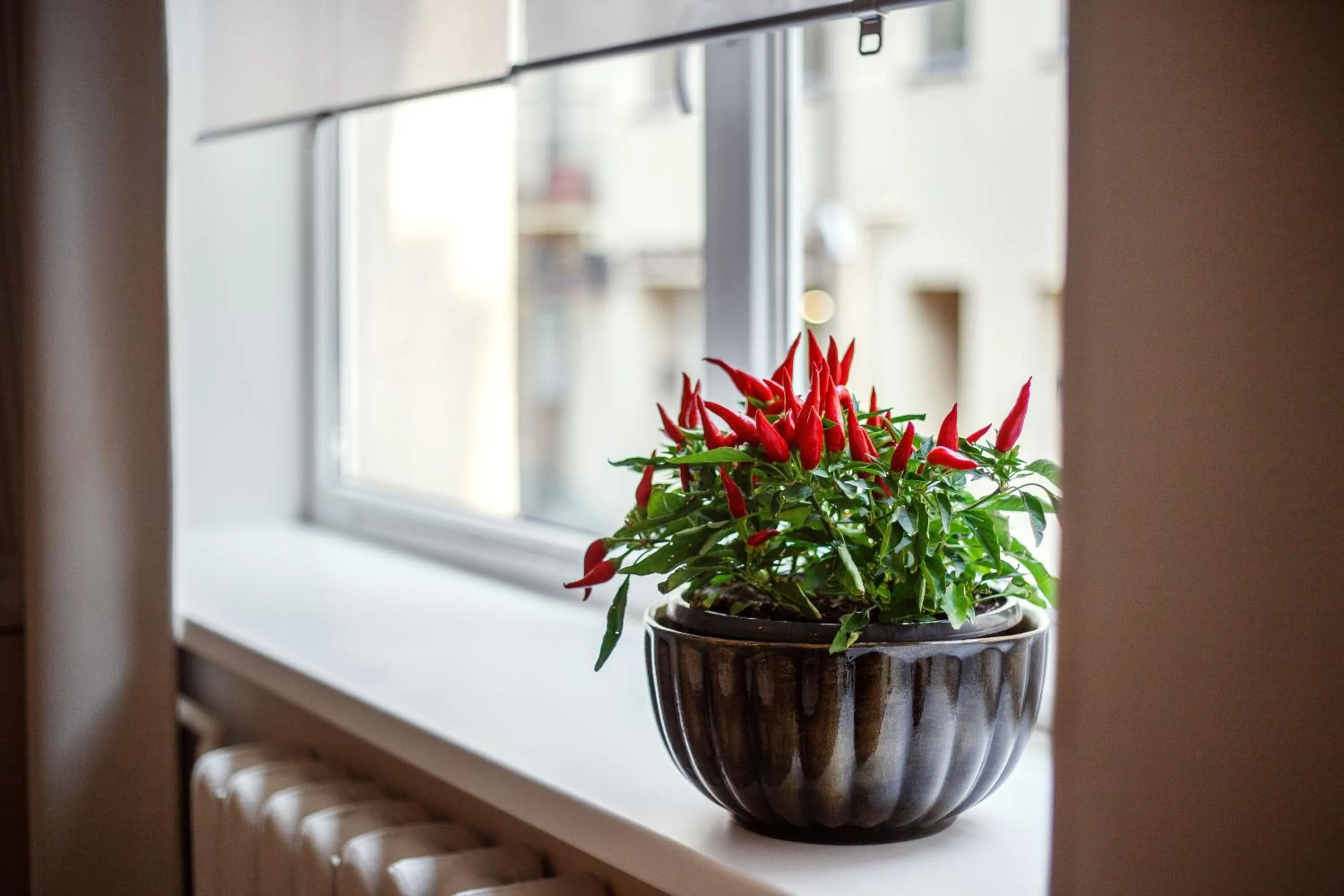 Decorative detail in Old Town Trio Apartments