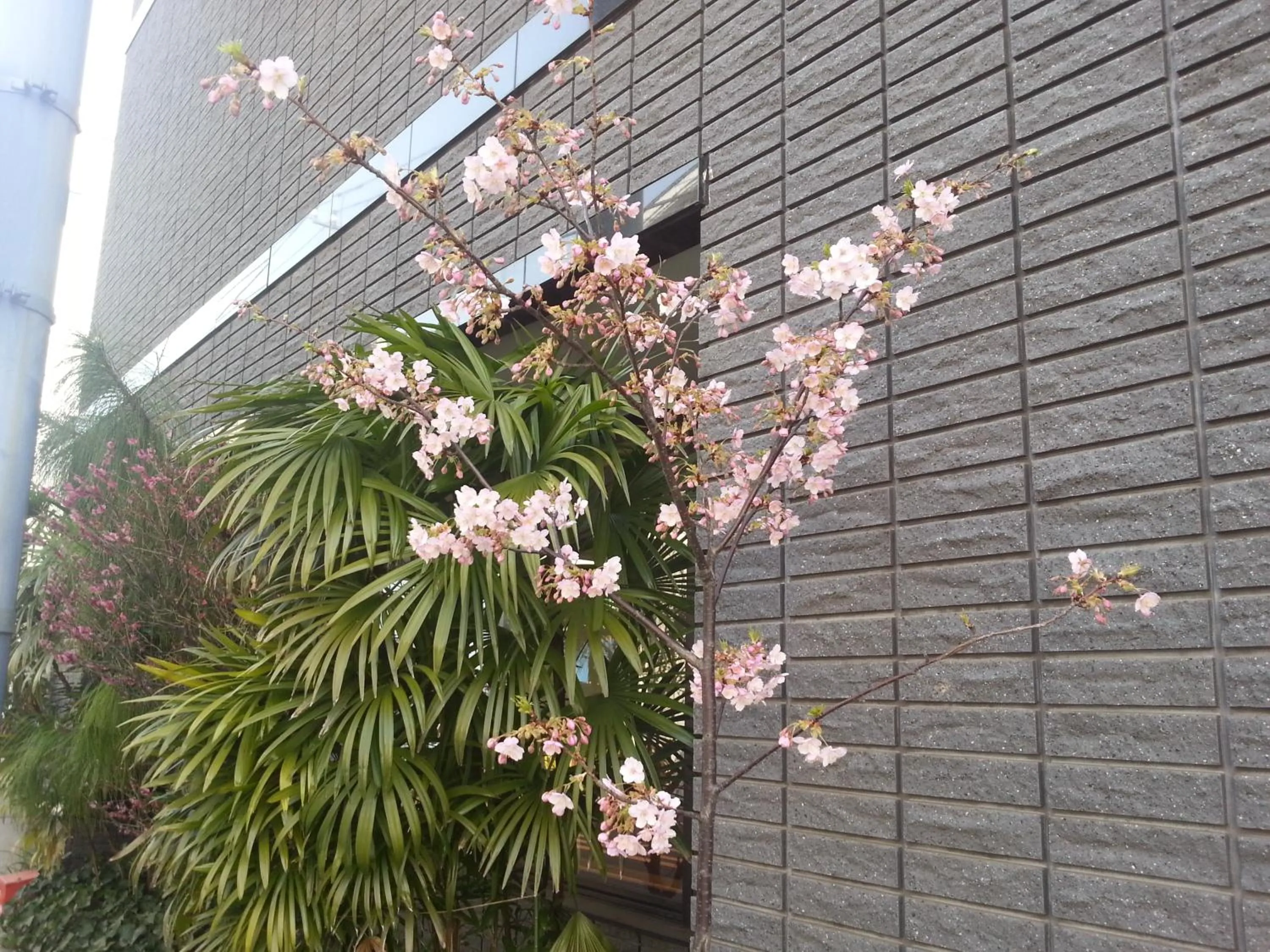 Decorative detail in Annex Katsutaro Ryokan