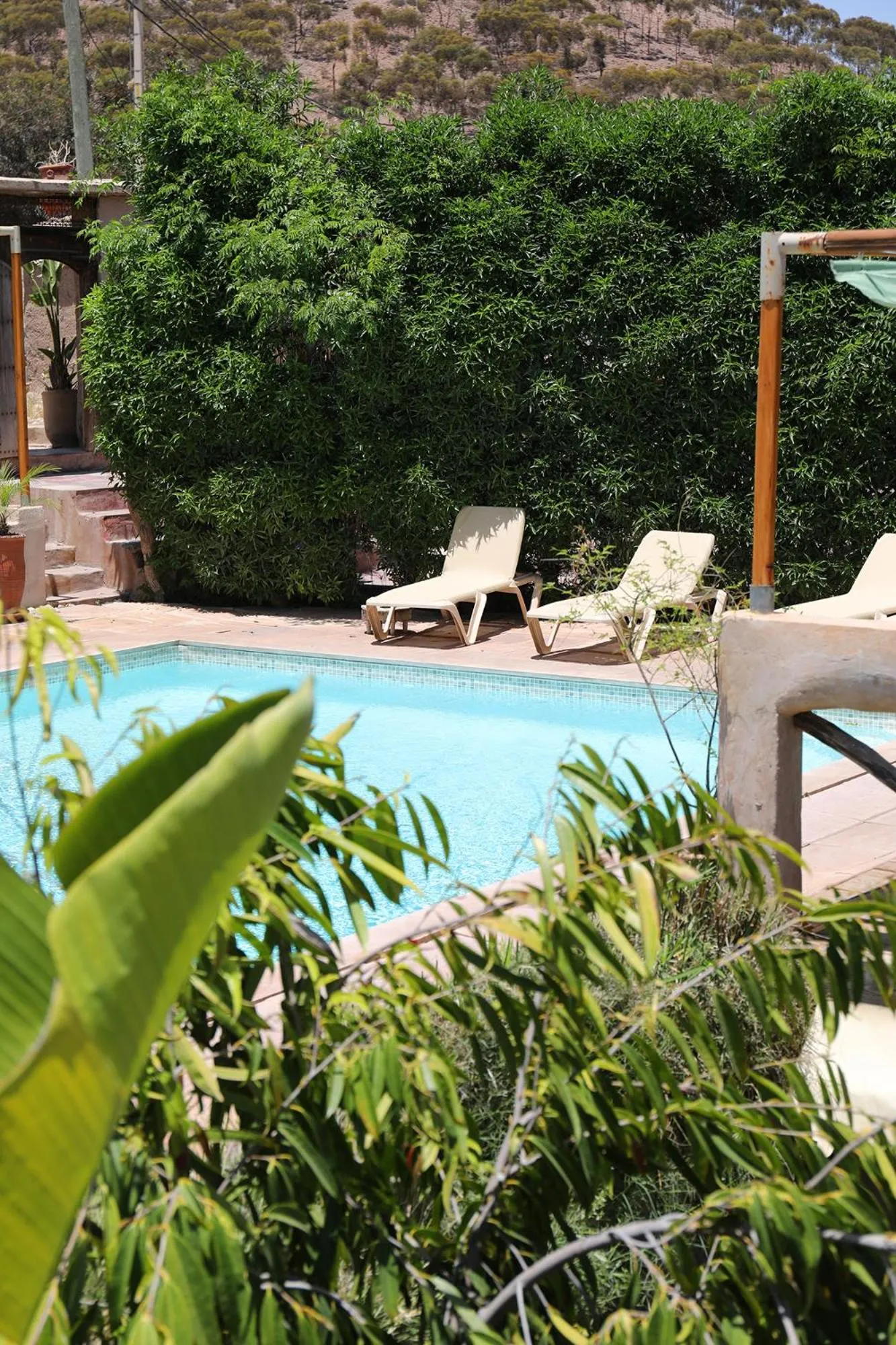 Pool view in Le Petit Hôtel du Flouka