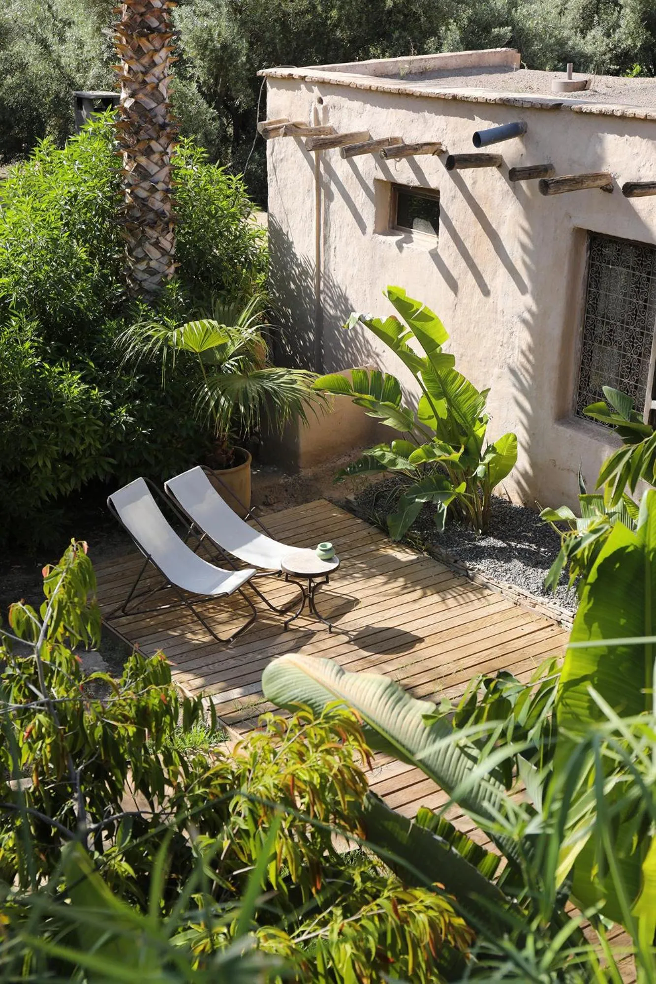 Garden in Le Petit Hôtel du Flouka