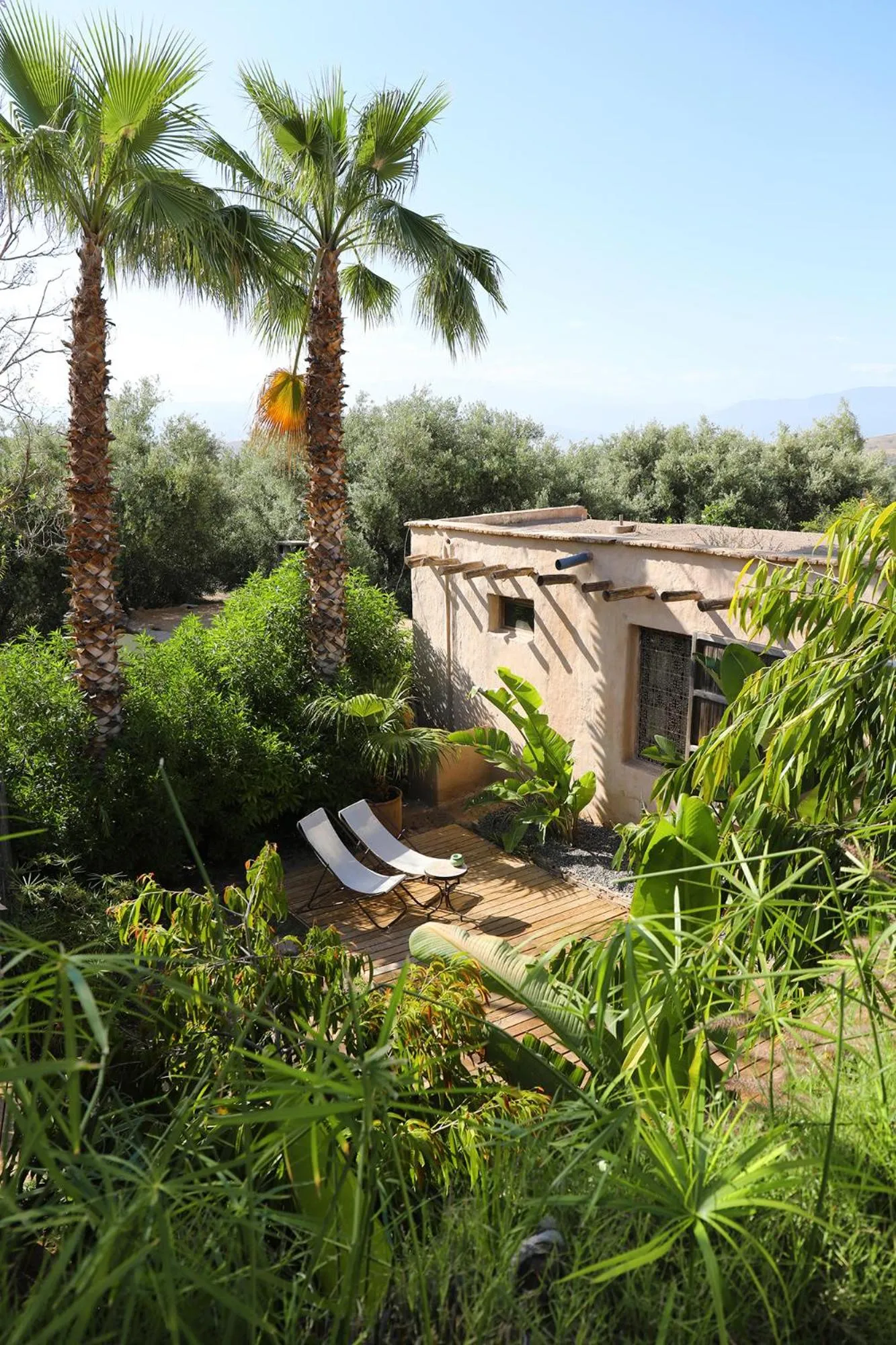 Garden in Le Petit Hôtel du Flouka
