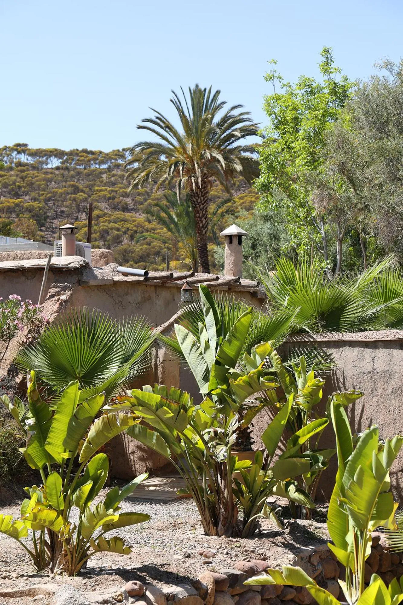 Garden view in Le Petit Hôtel du Flouka