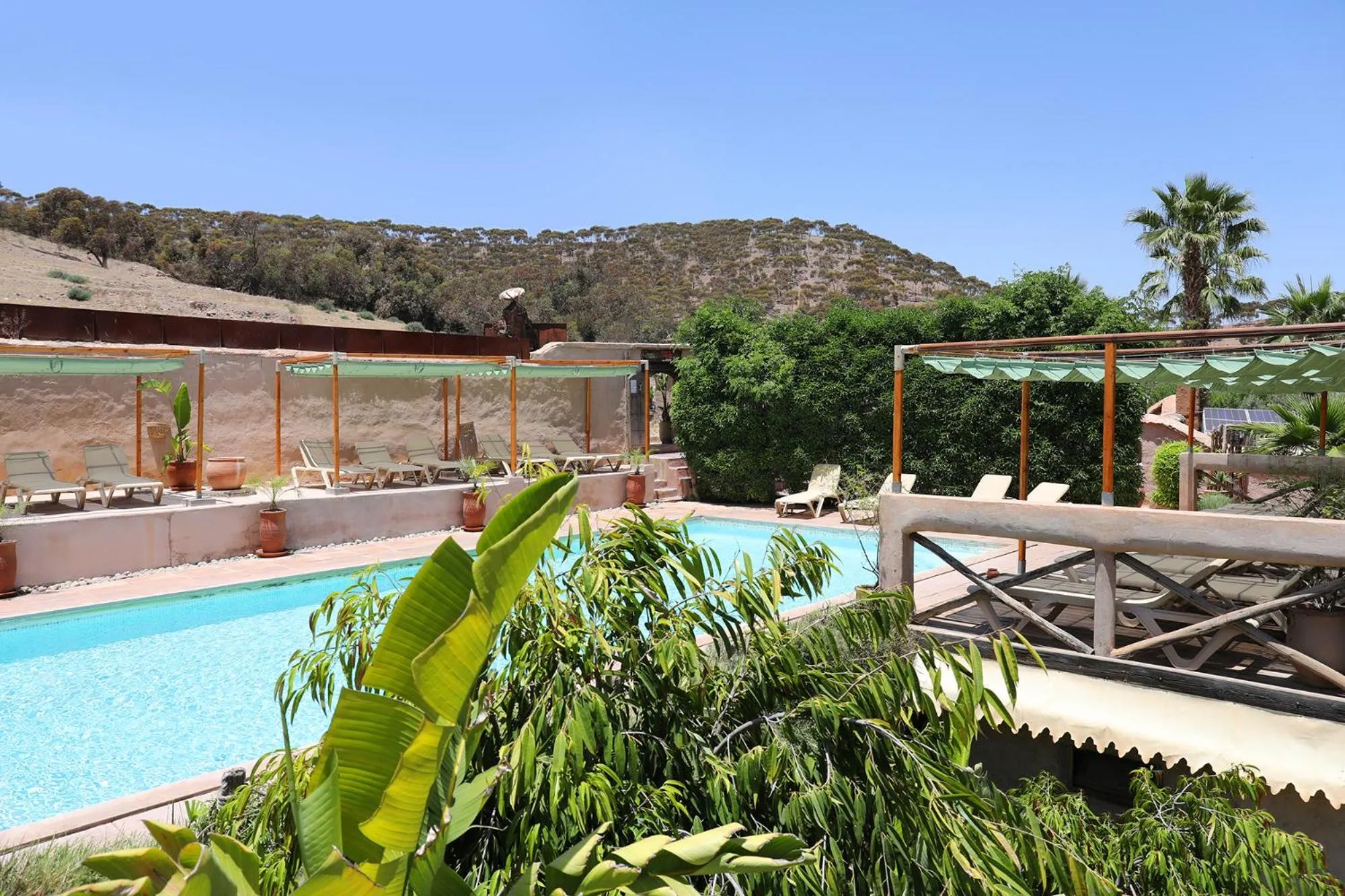 Garden view in Le Petit Hôtel du Flouka