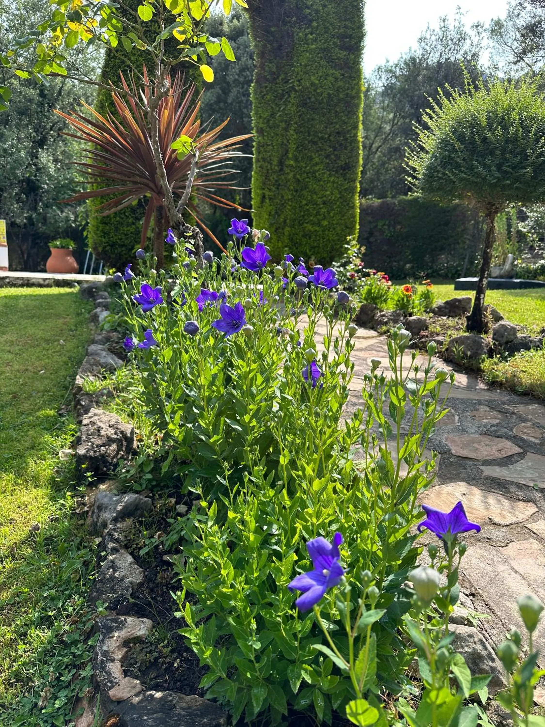Garden in Hotel Rural Convento Santa Maria de la Sierra