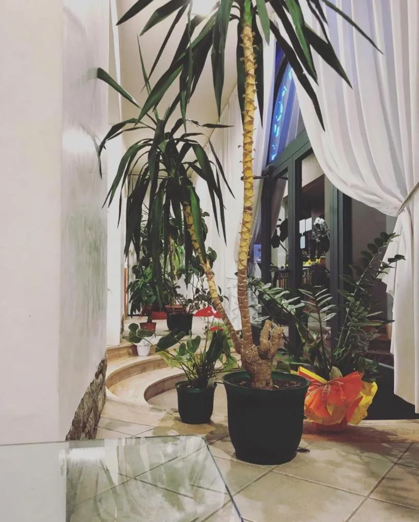 Facade/entrance in Albergo La Posta Arezzo