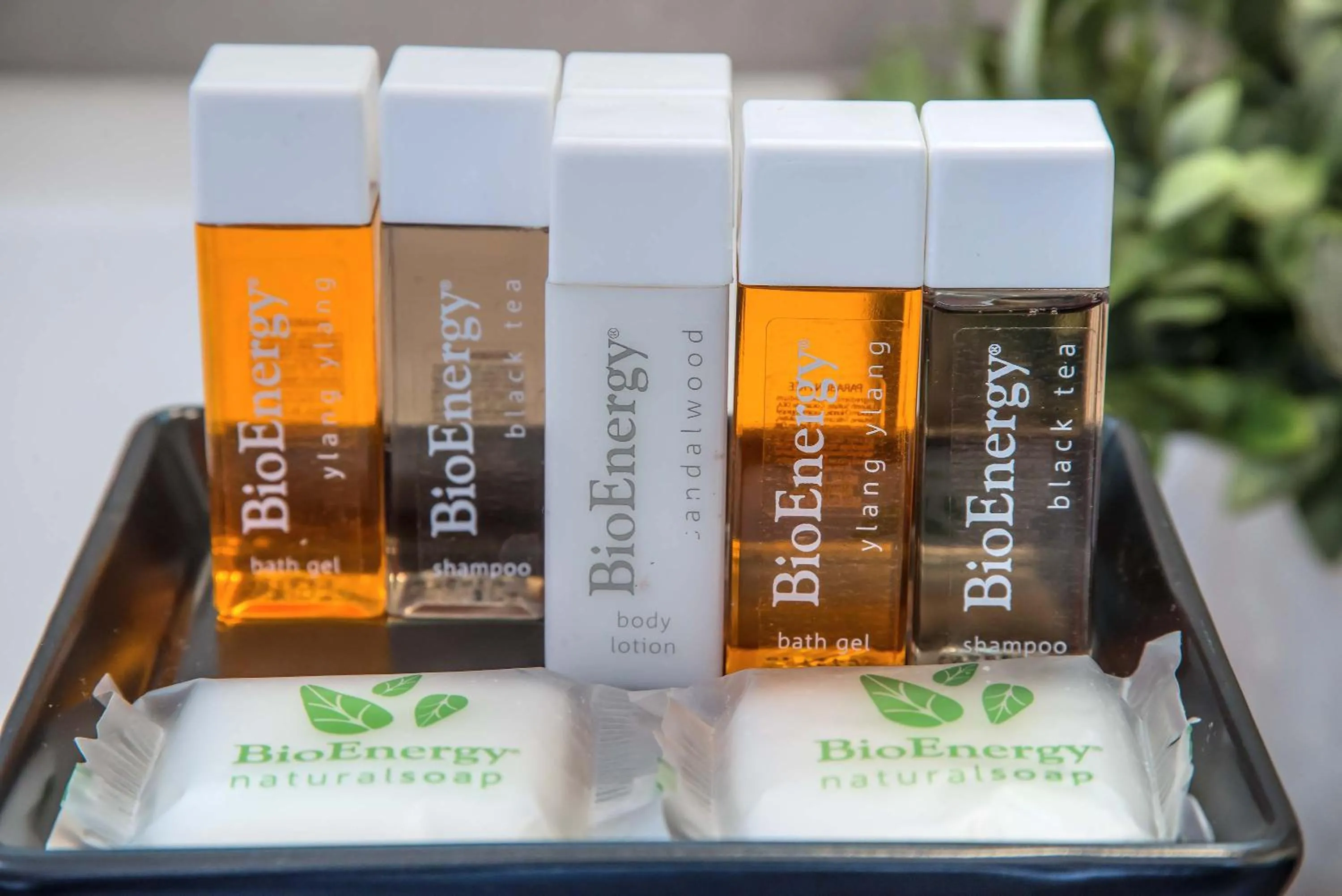 Bathroom in Navona Essence Hotel