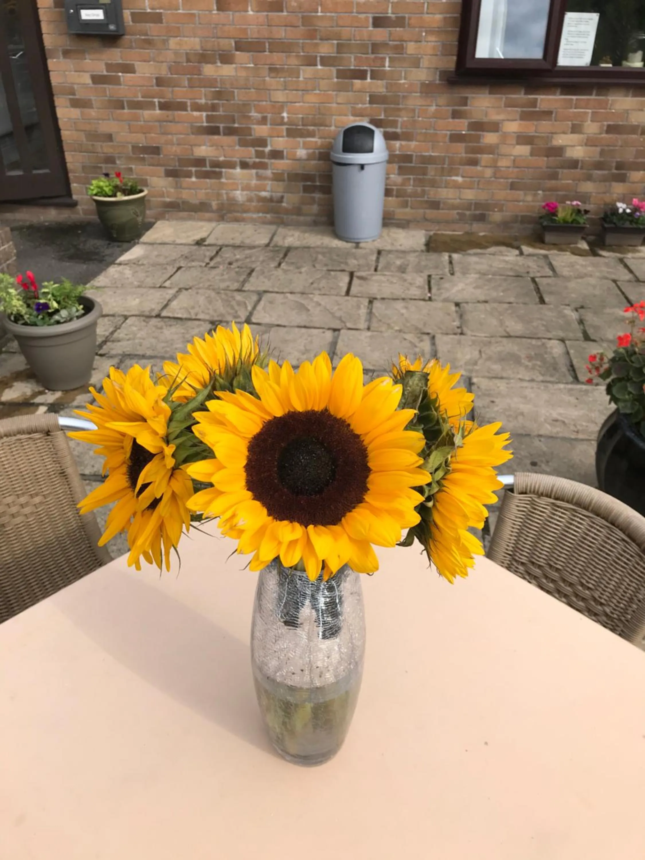 Smithaleigh Farm Rooms and Apartments