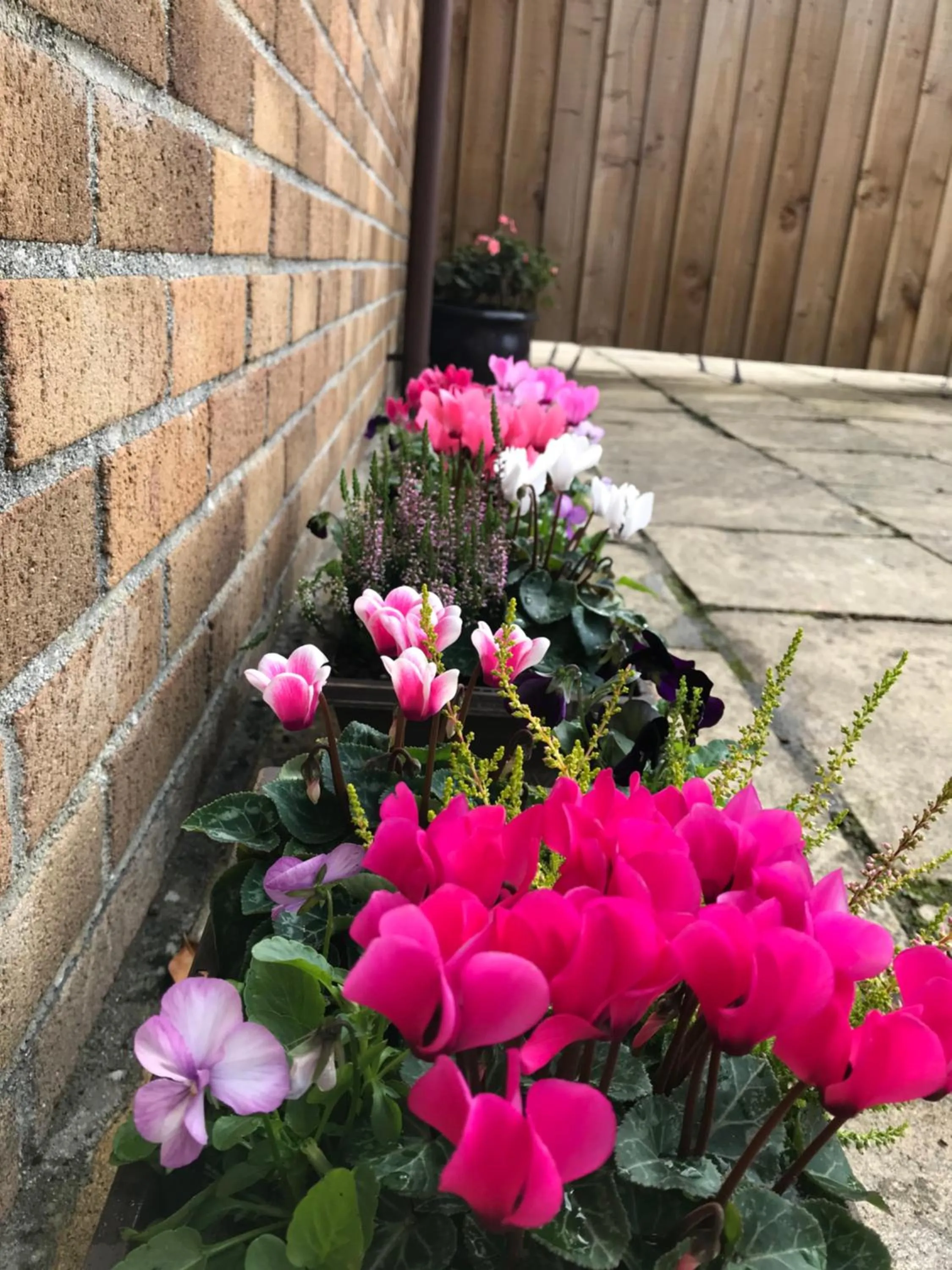 Smithaleigh Farm Rooms and Apartments