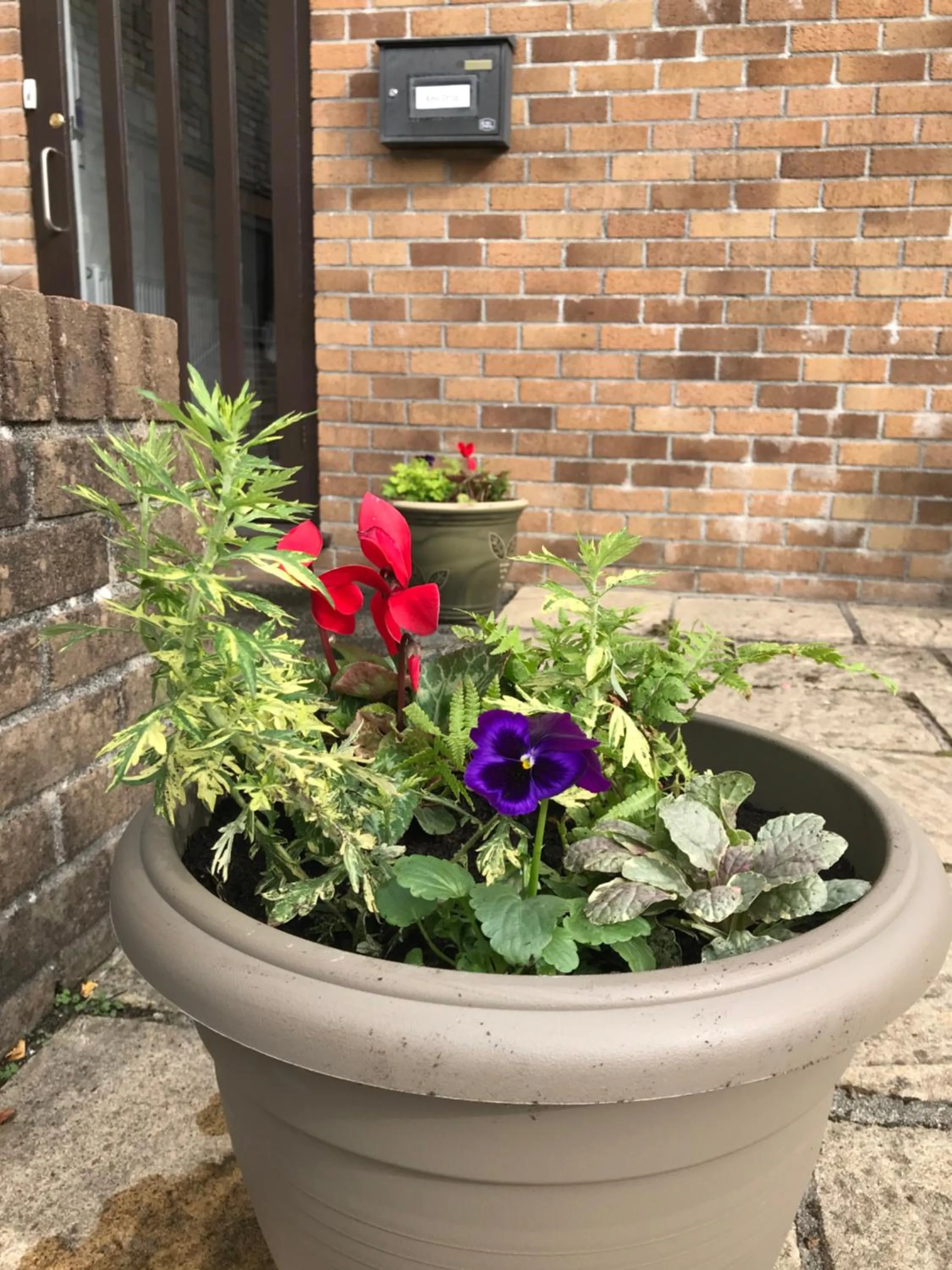 Smithaleigh Farm Rooms and Apartments