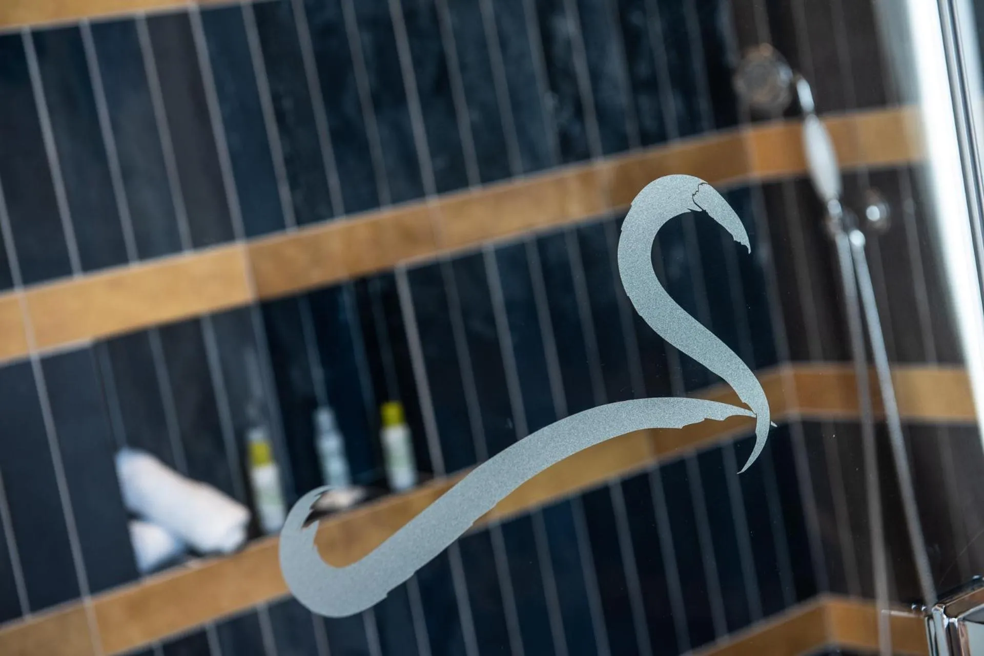 Shower in Hotel La Malvasía